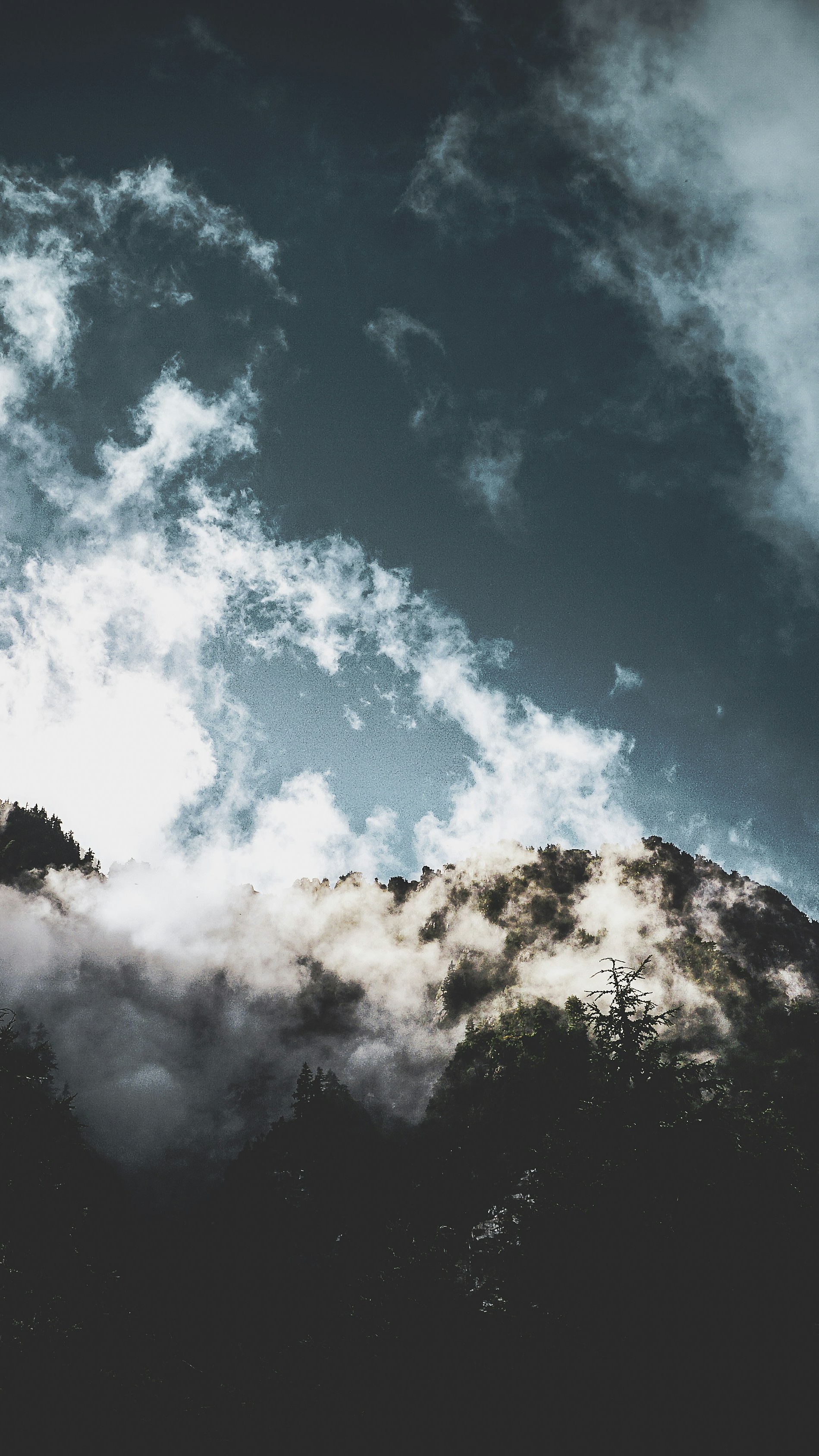 Landscapes