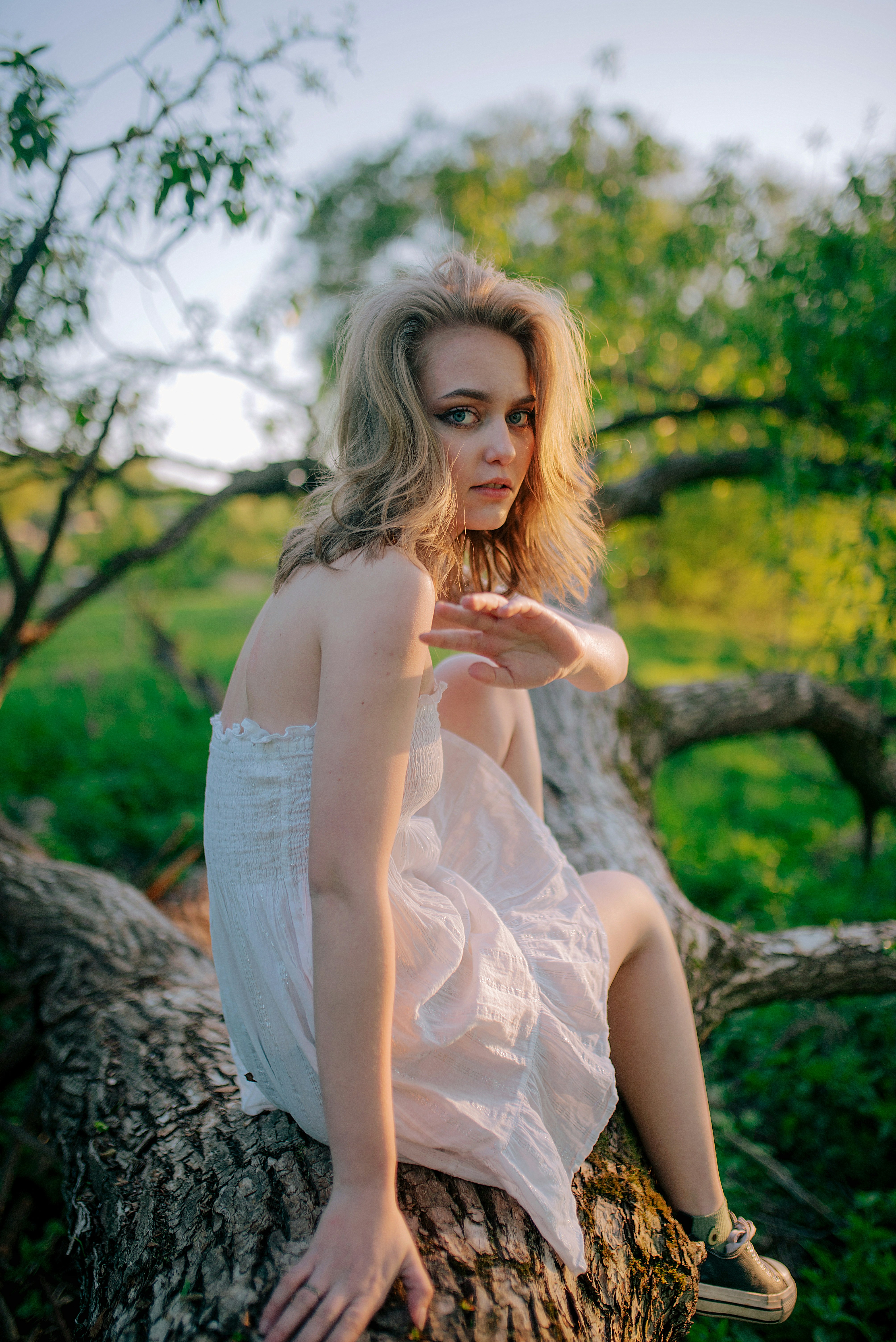 Forest & Flora
