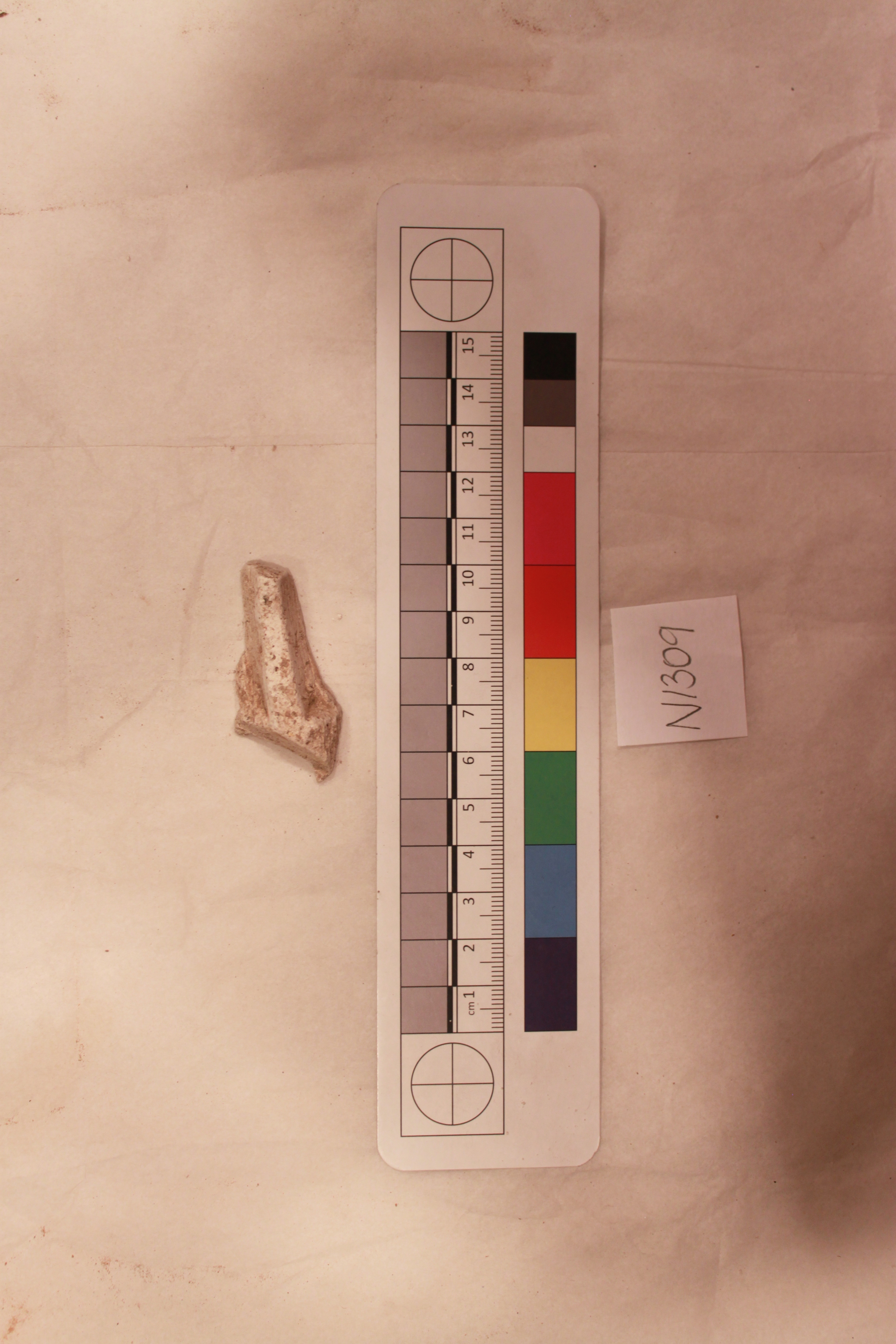 Archaeological Artifact Sample Recording
