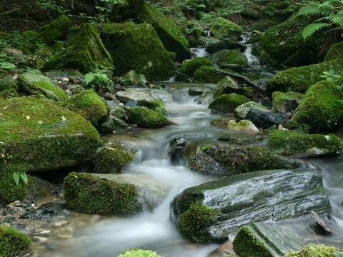 Mossy Rock Mountain Stream