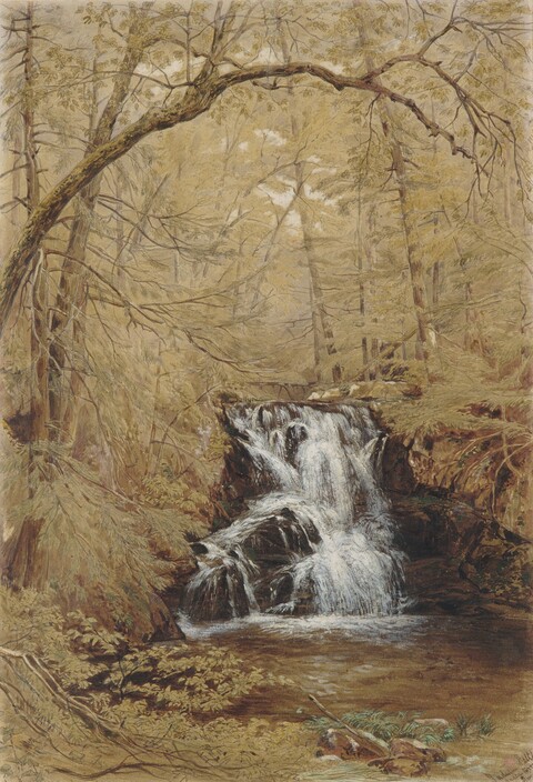 Autumn Forest Waterfall