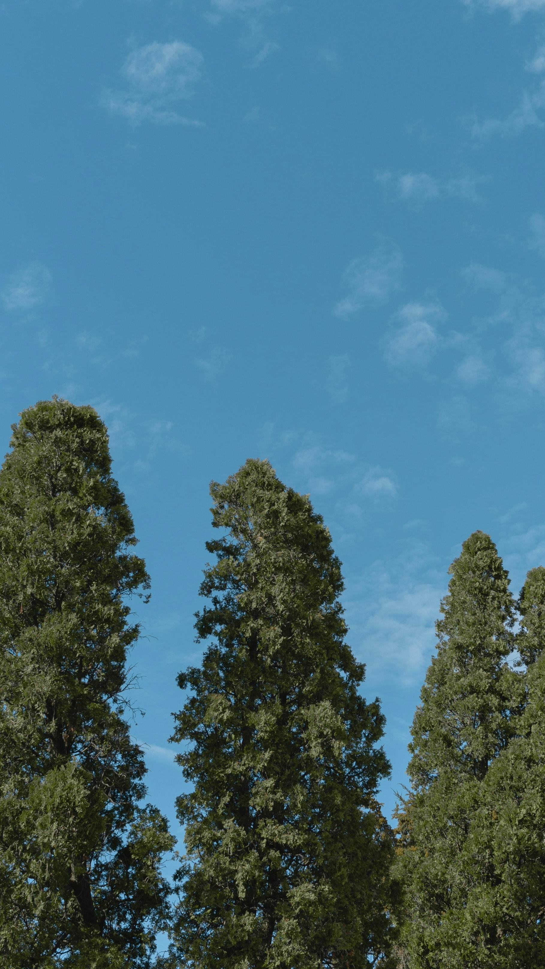 Sky Series