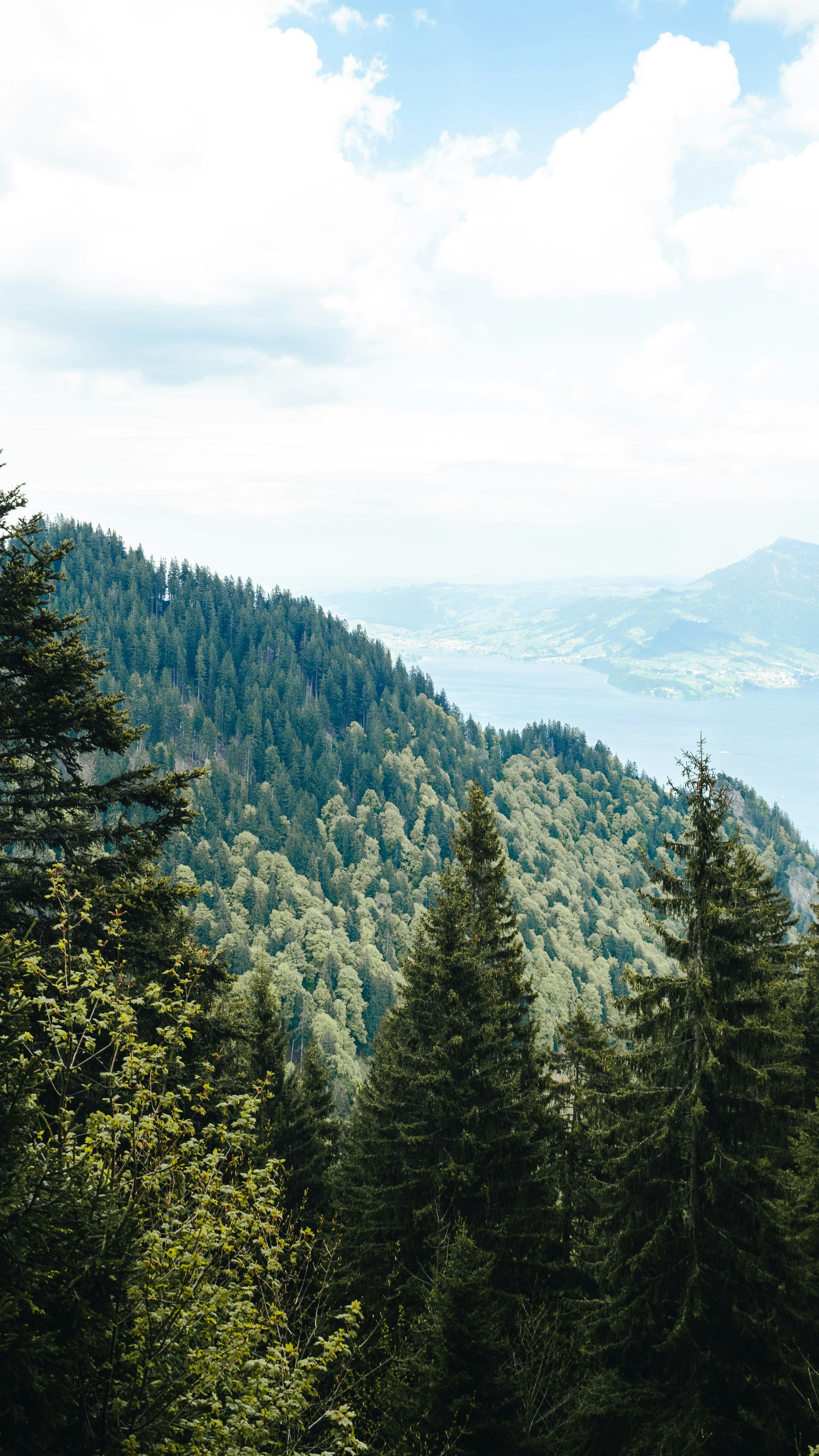 Landscapes