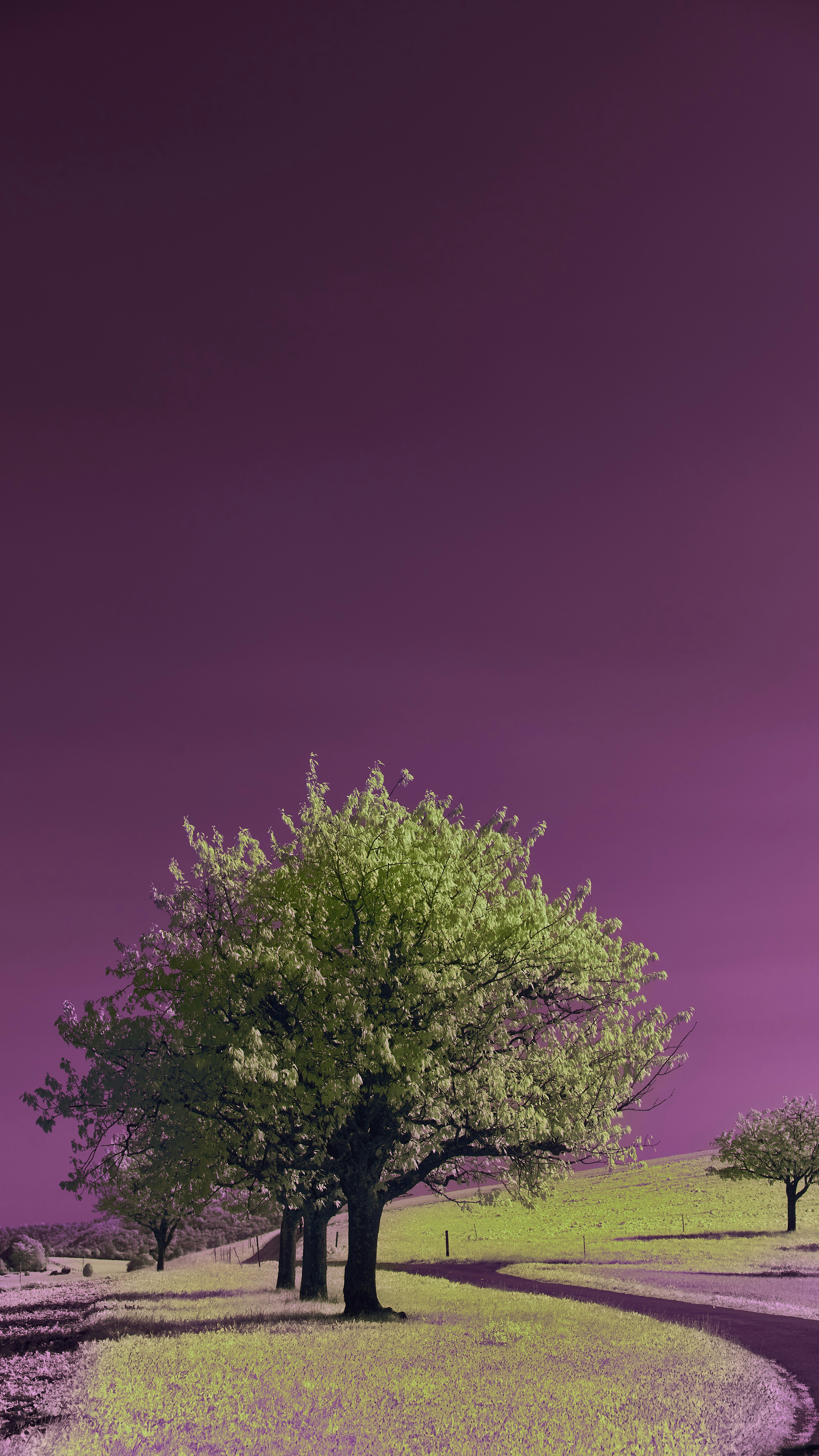 Wallpapers