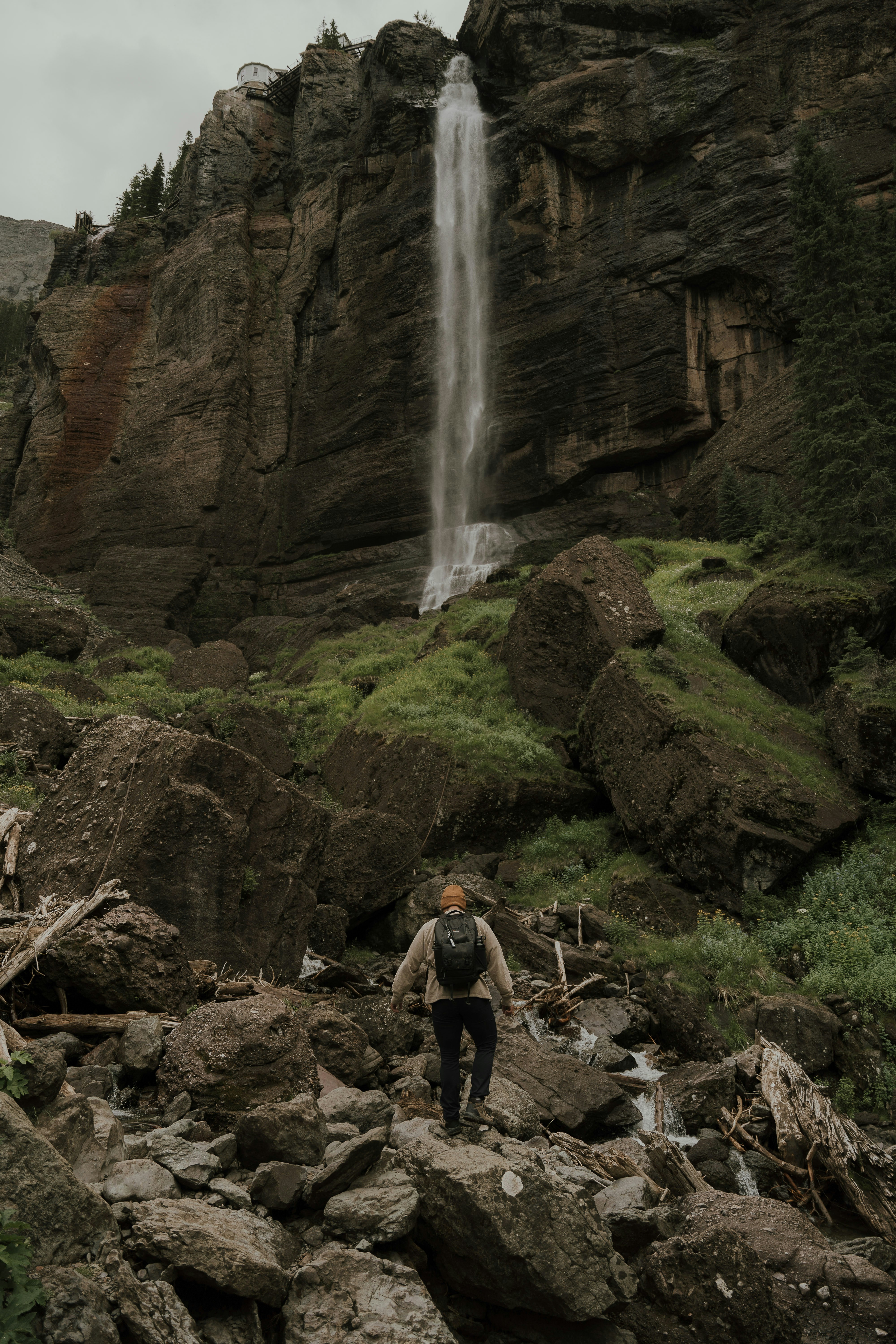 Image 1617195 — Nature
