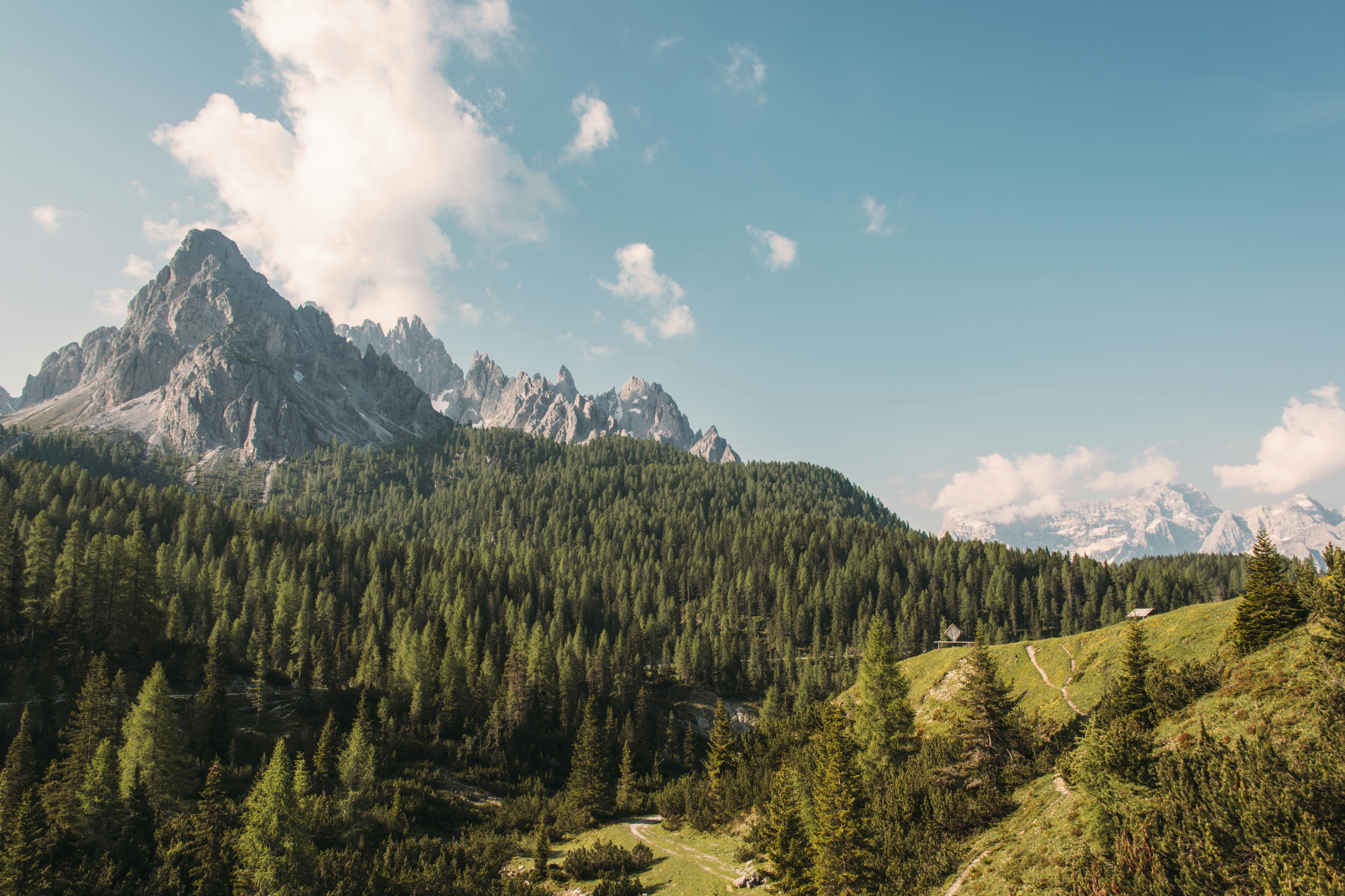 Alpine Mountain Forest Landscape