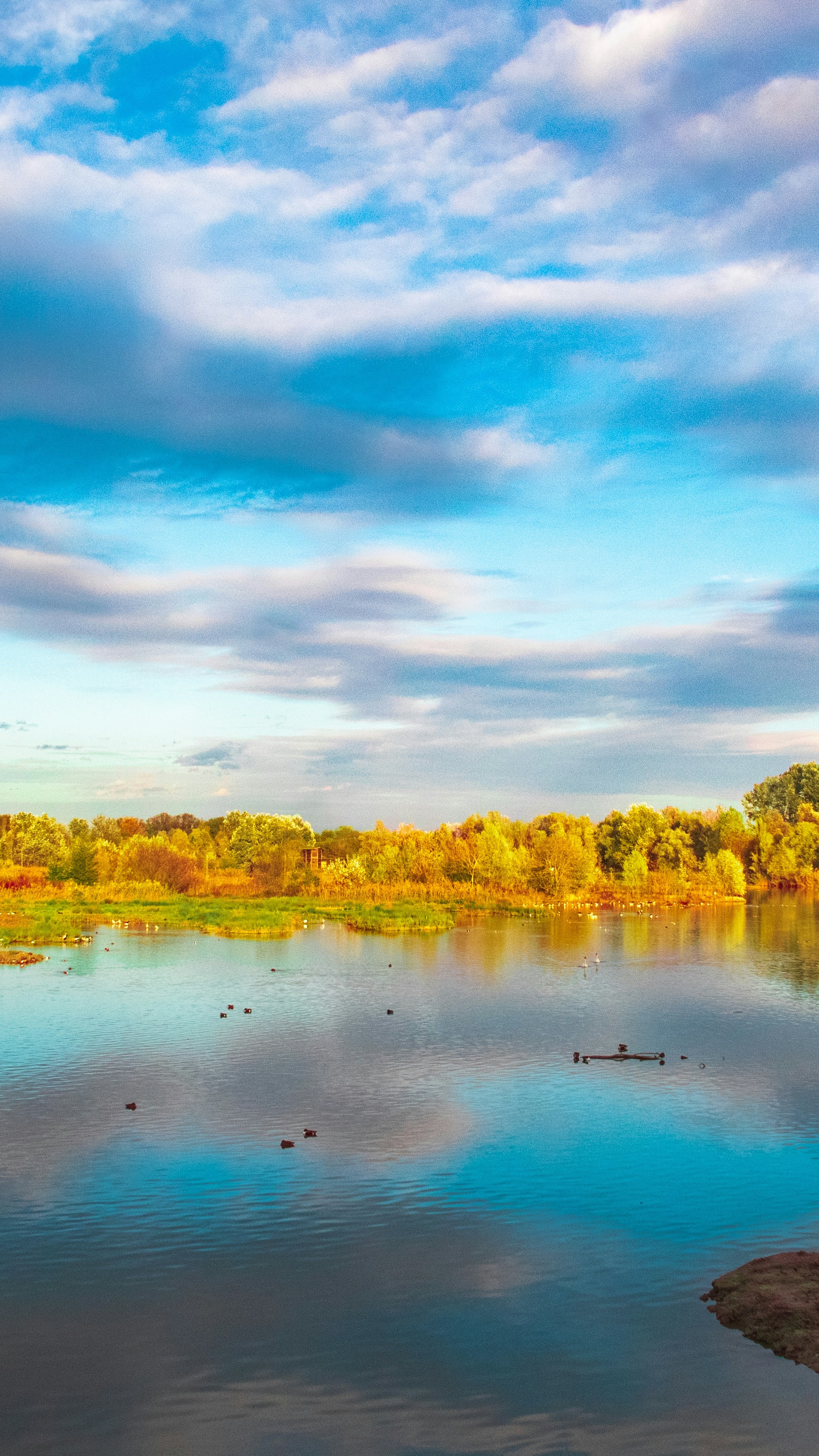 Autumn Lakeside Landscape