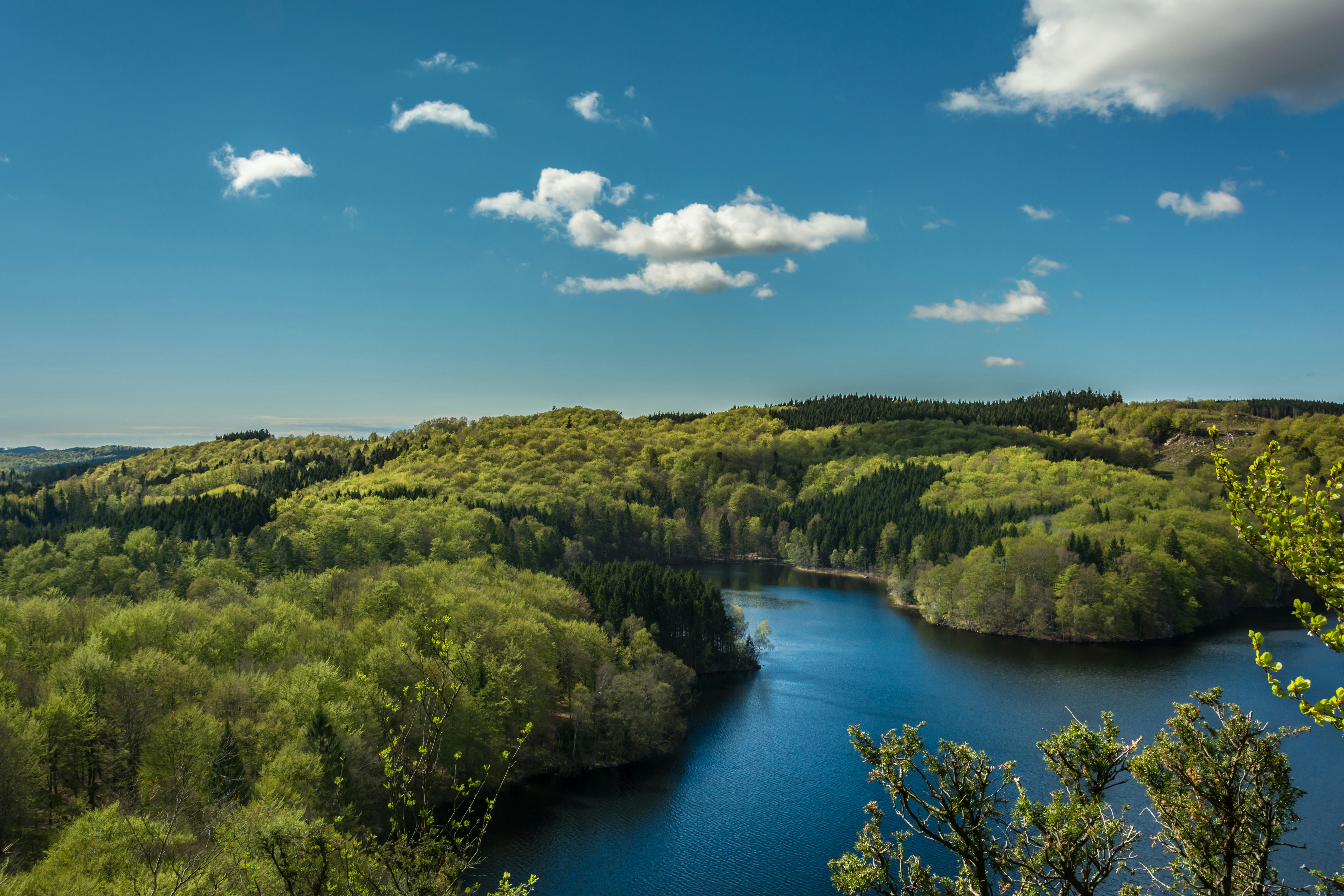 Forested Winding River Landscape