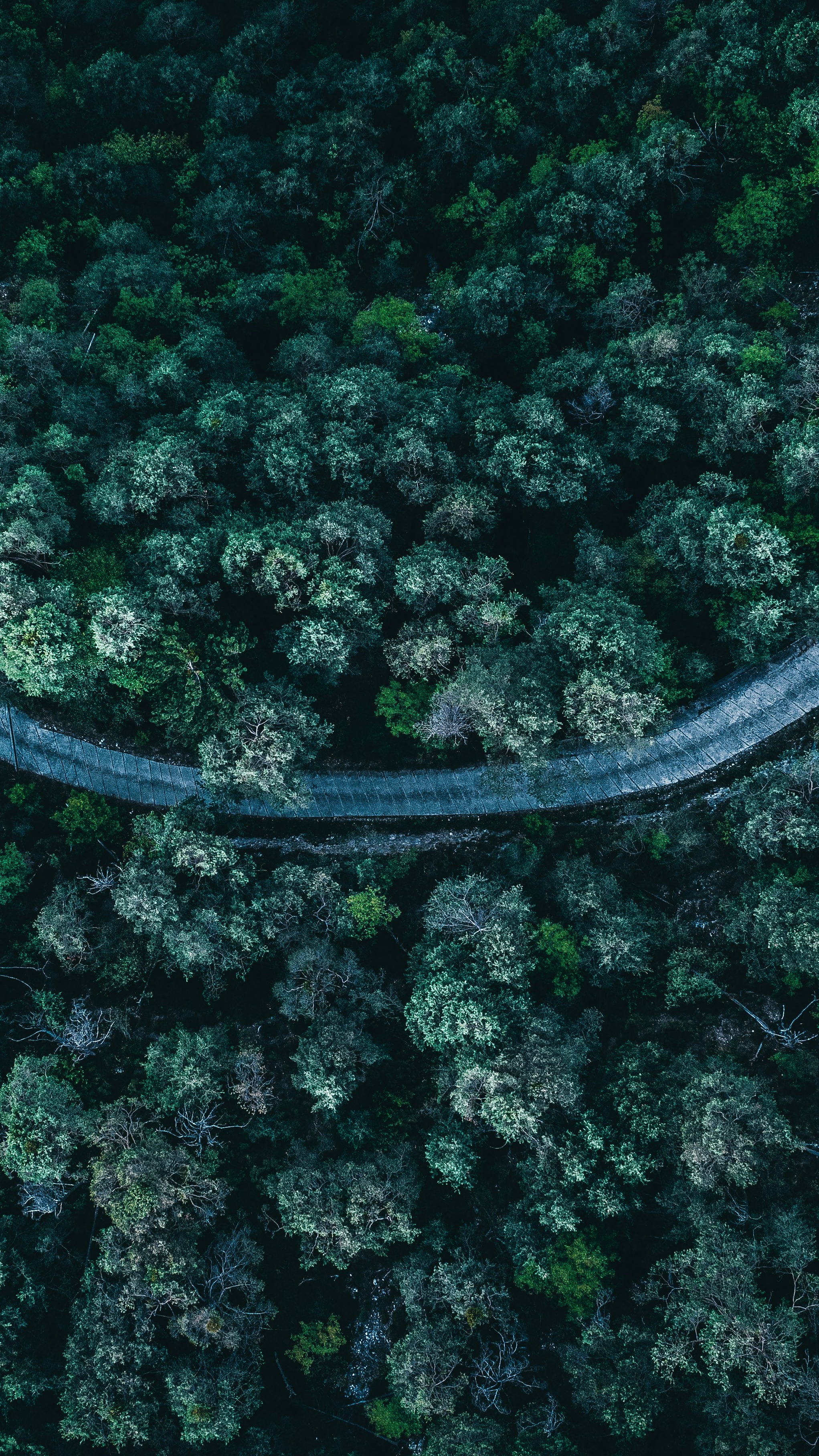 Wallpapers