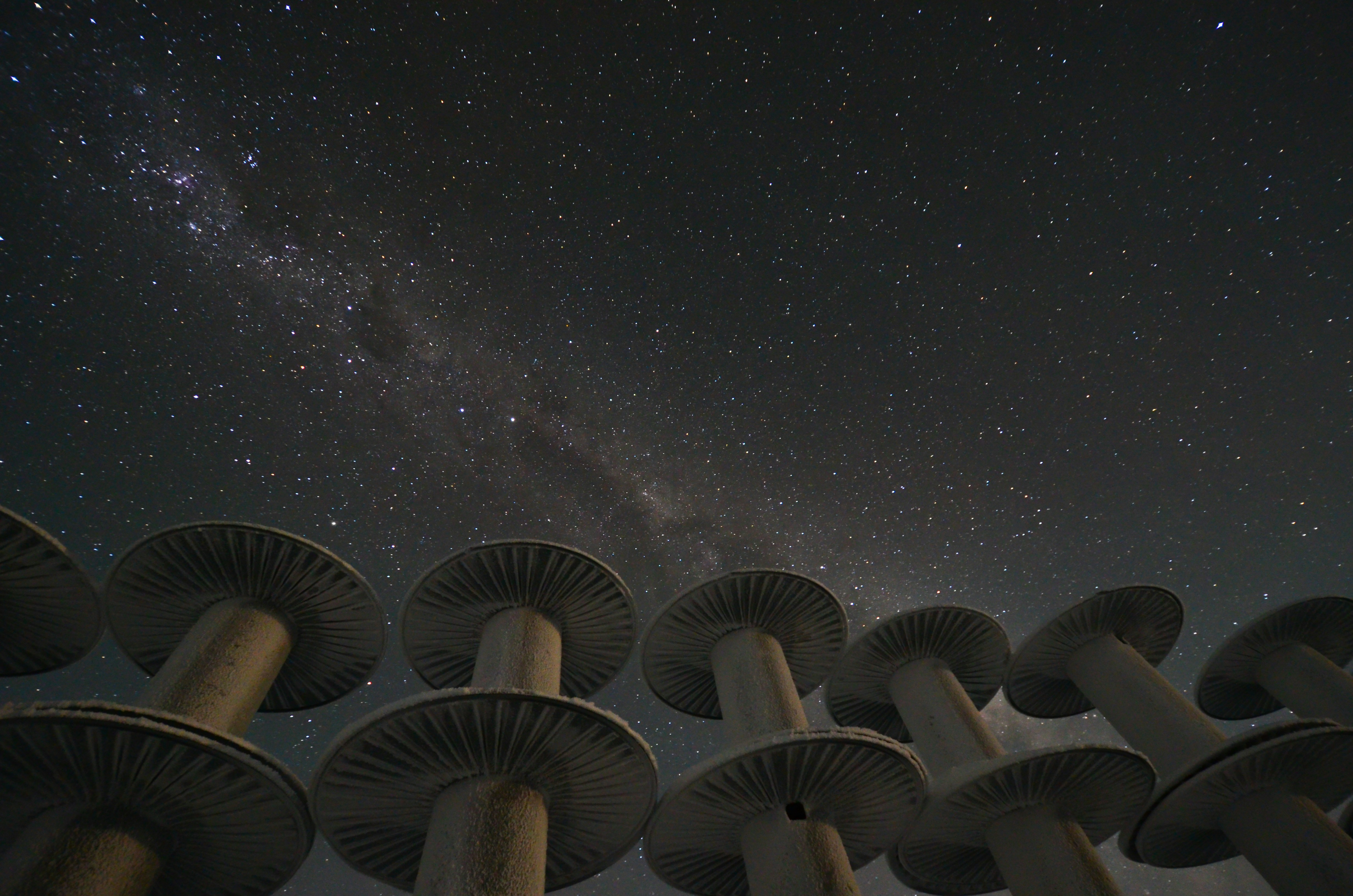 Mushroom Sculptures Under Starry Sky