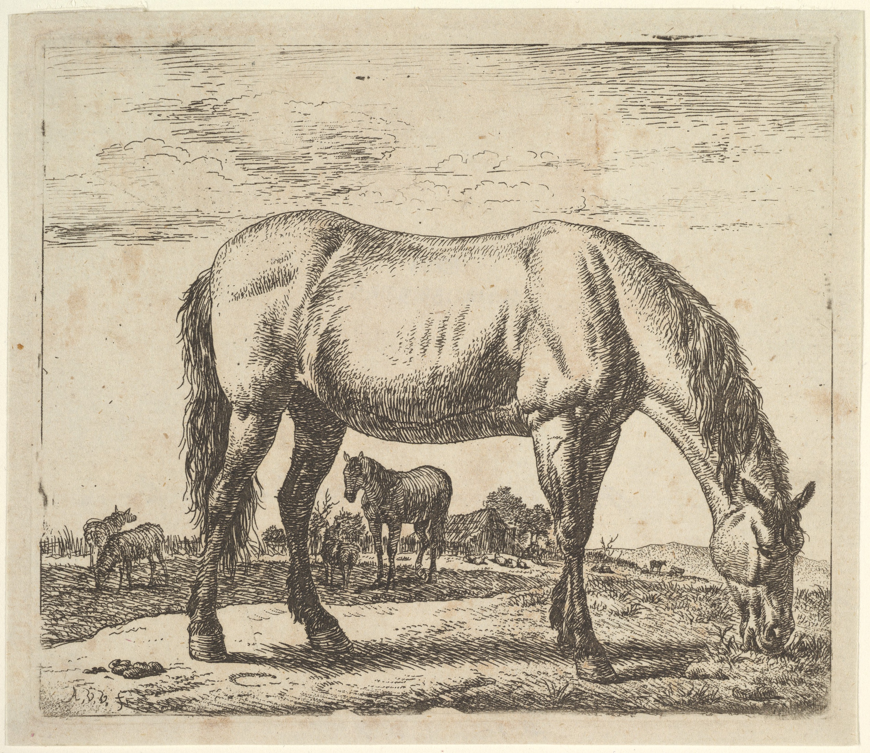 Grazing Horse in Pasture