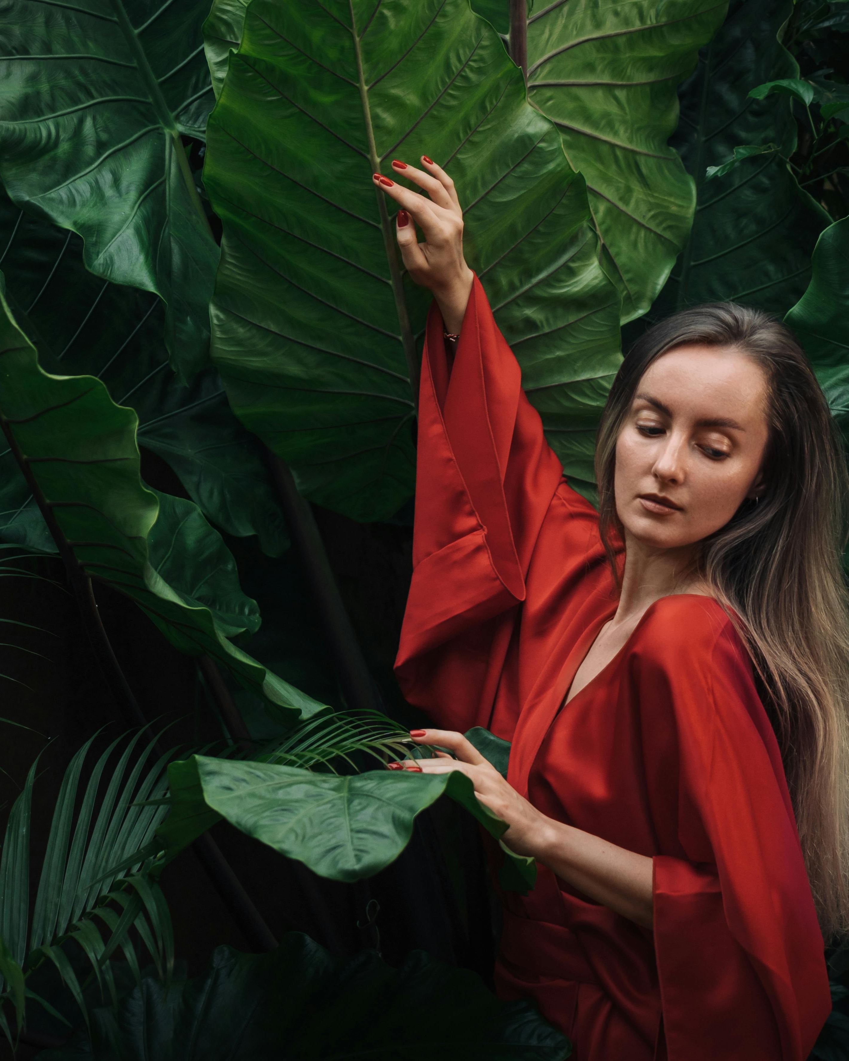 Forest & Flora