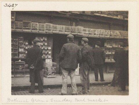 Bethnal Green Sunday Bird Market