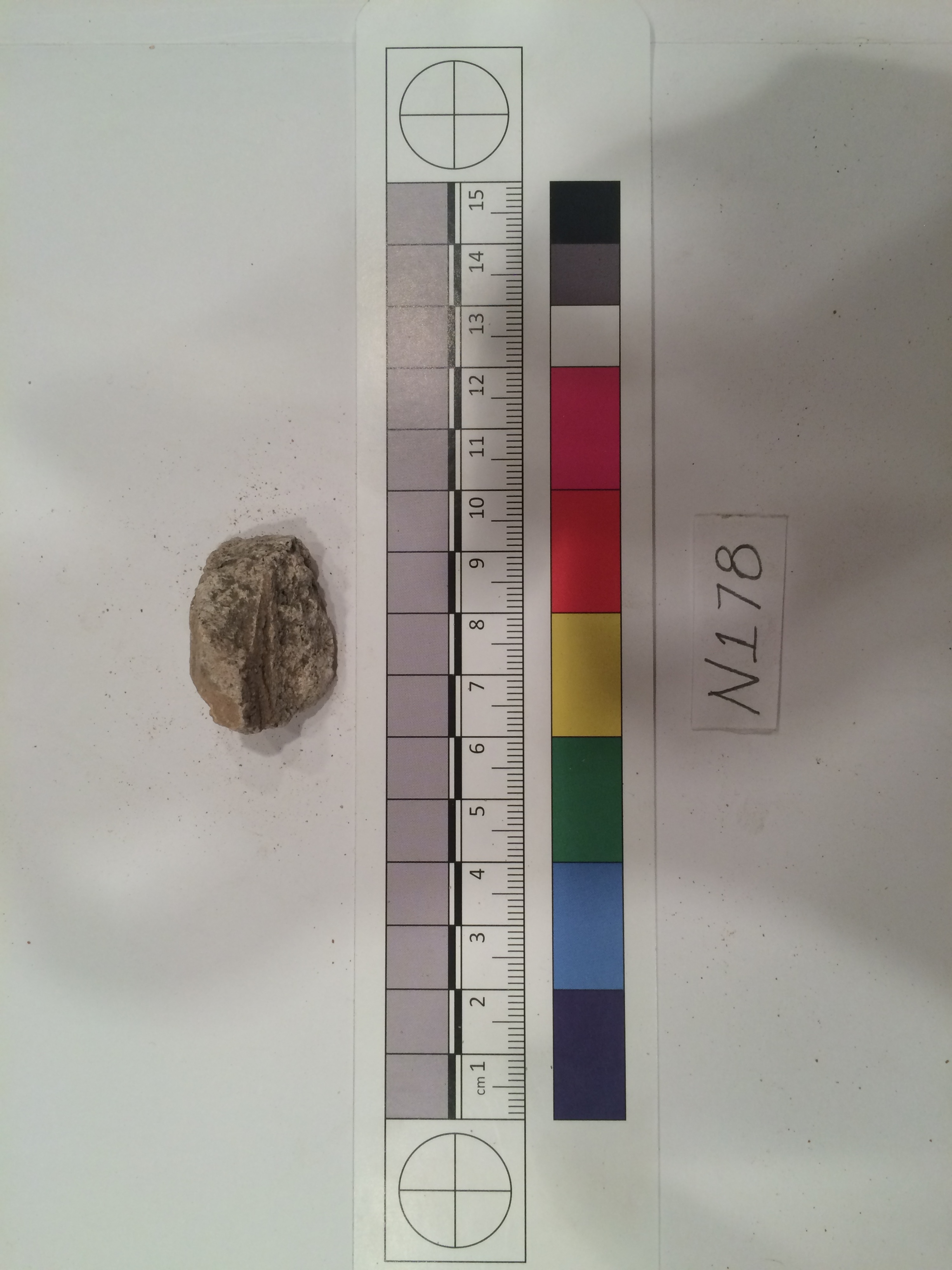 Archaeological Specimen N178 with Scale Bar