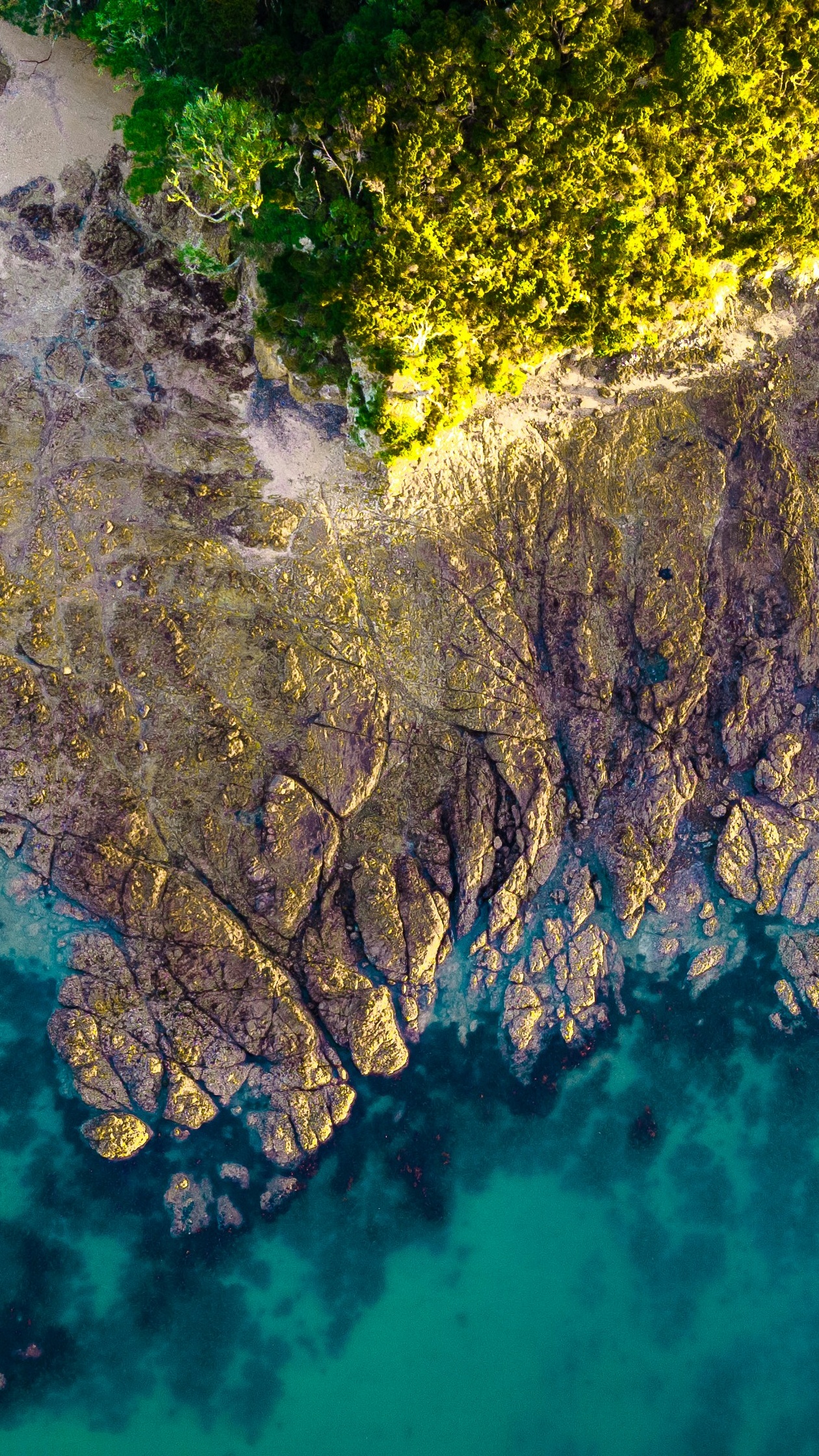 Wallpapers