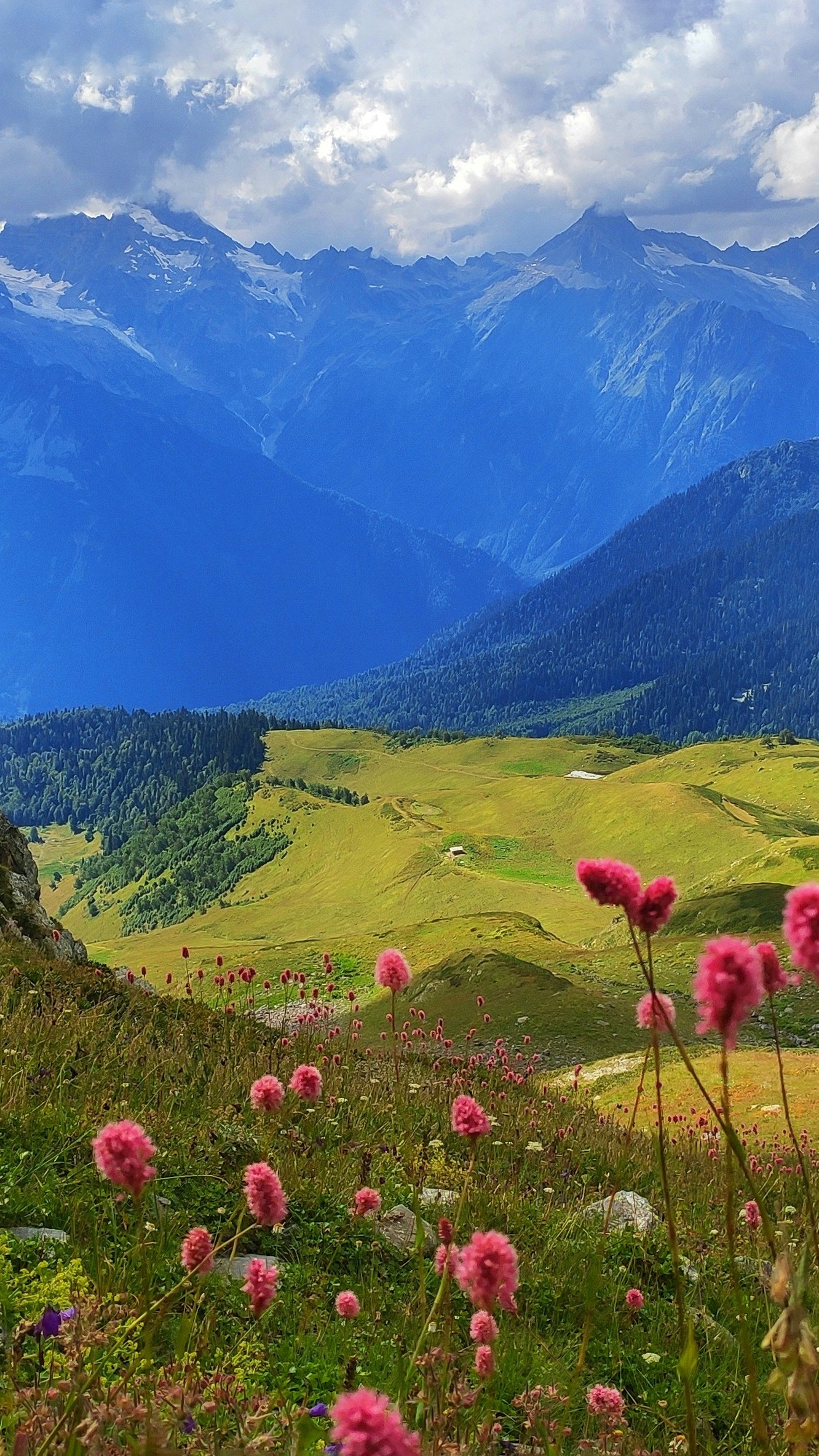 Wallpapers