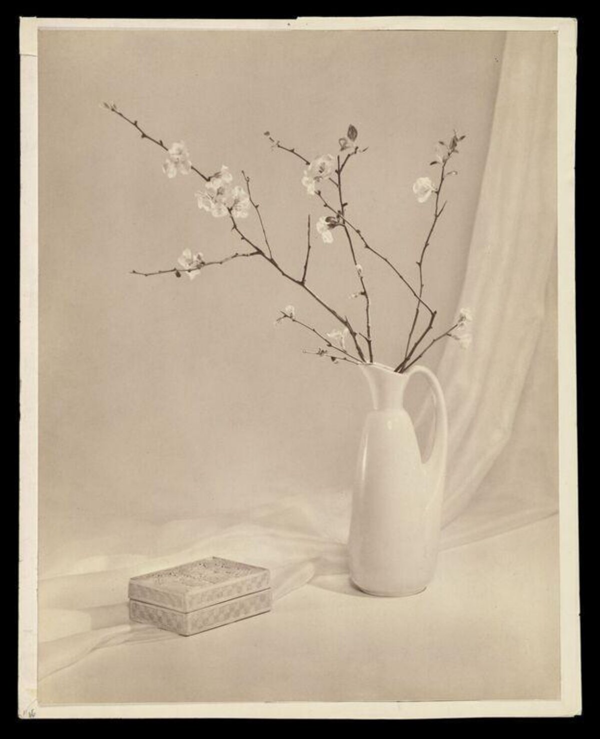 Still Life with Flowering Branches in Vase