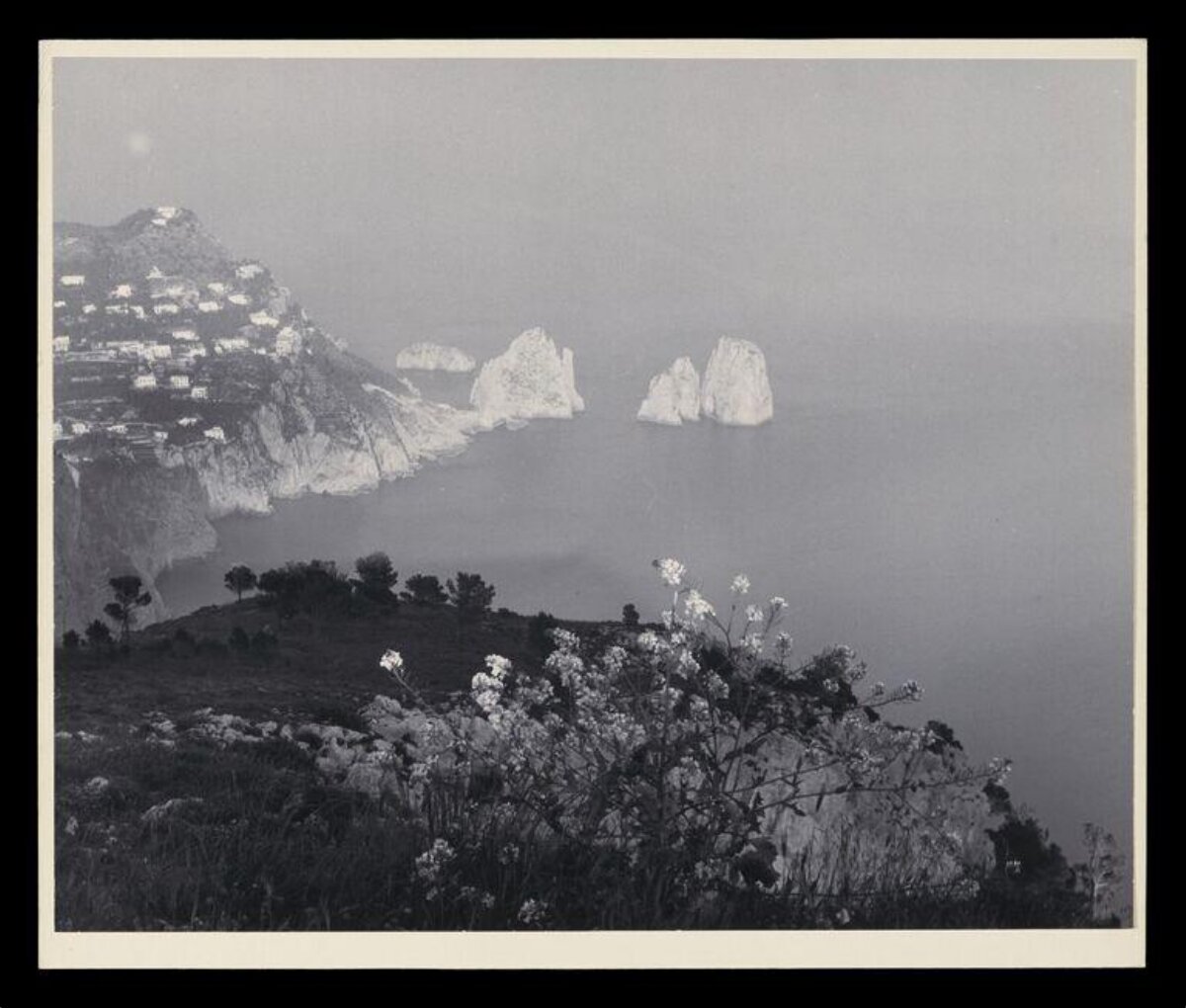 Coastal View of Capri