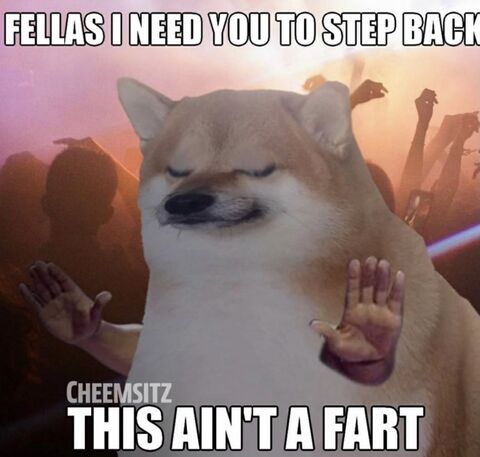 Cheems This Ain't A Fart Meme