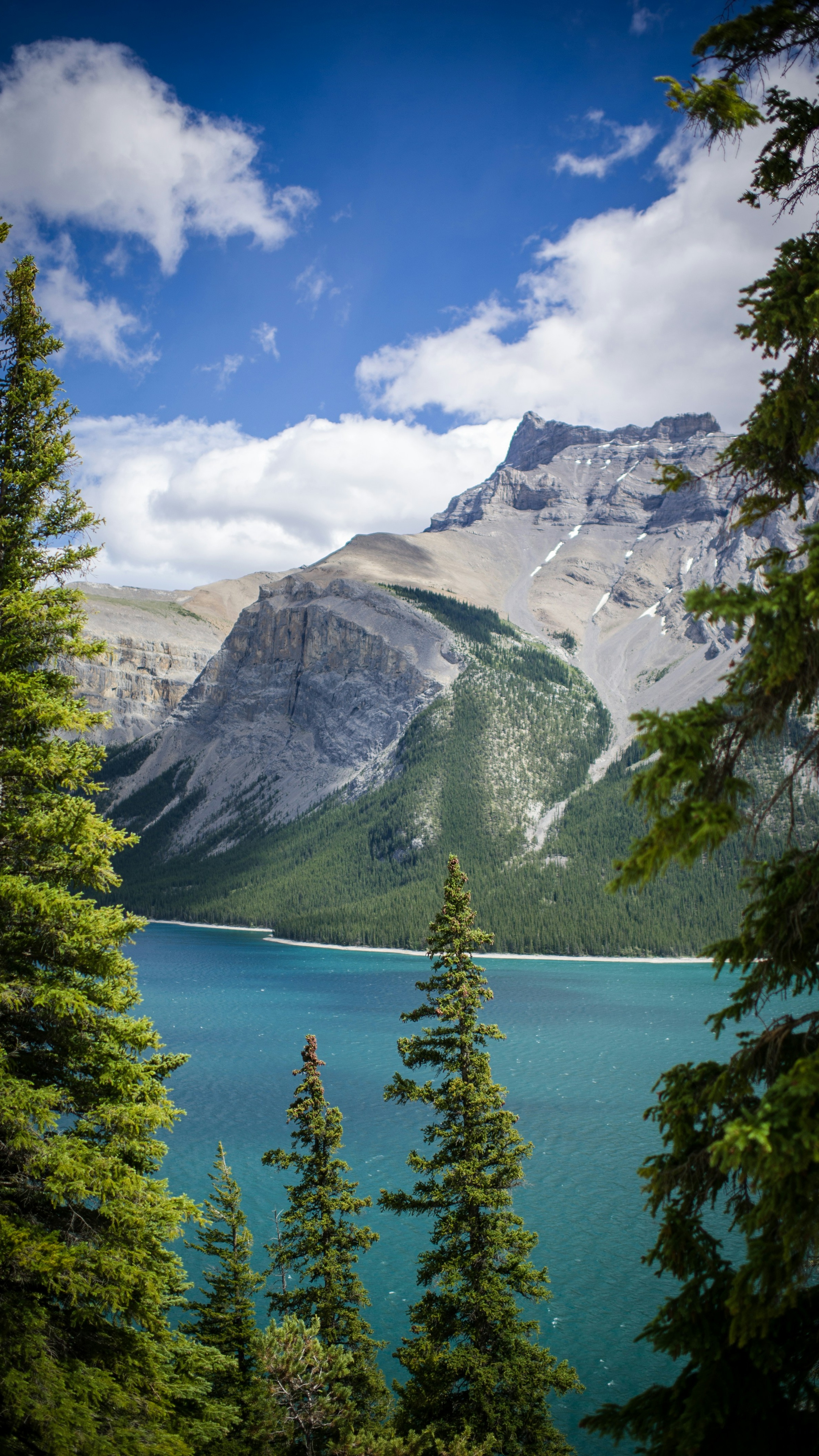 Landscapes