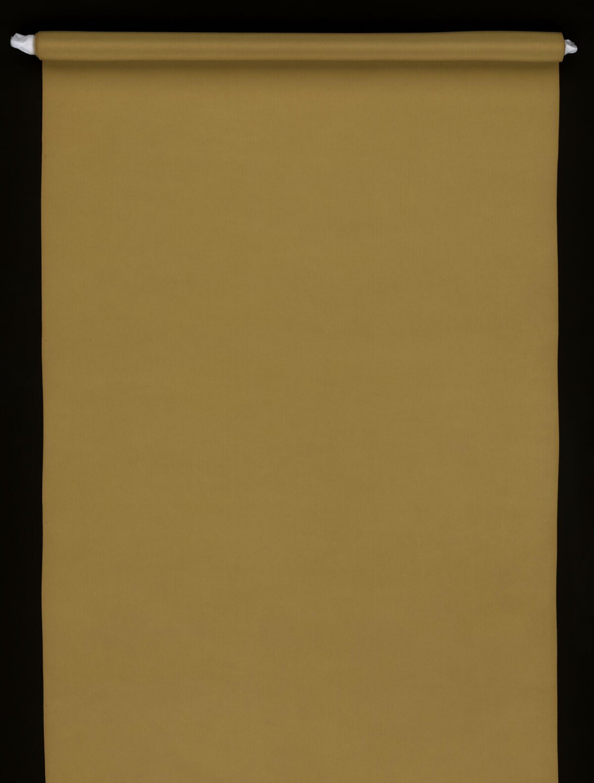 Blank Beige Rolled Hanging Scroll