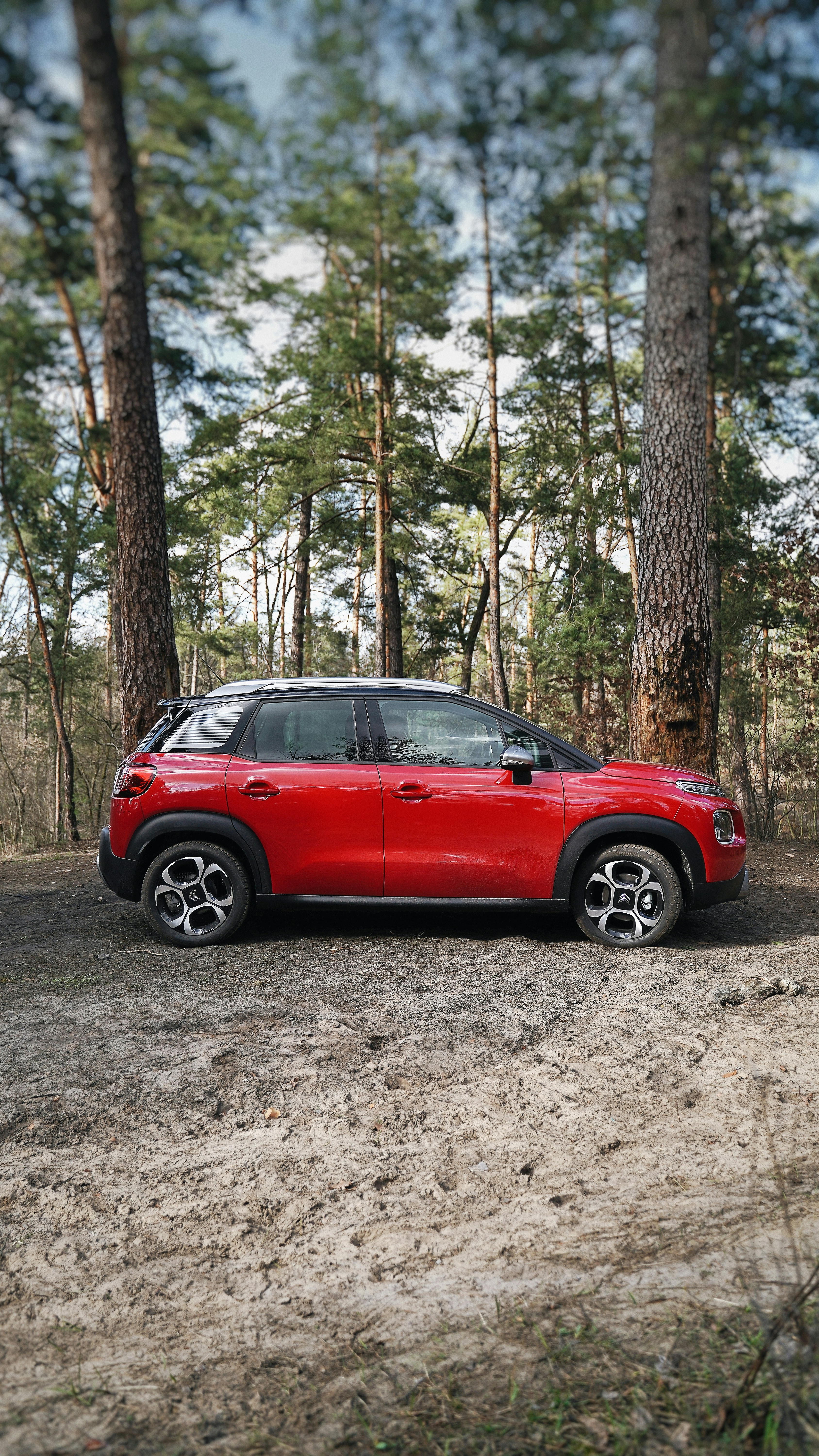Red SUV Parked in Pine Forest — Cars