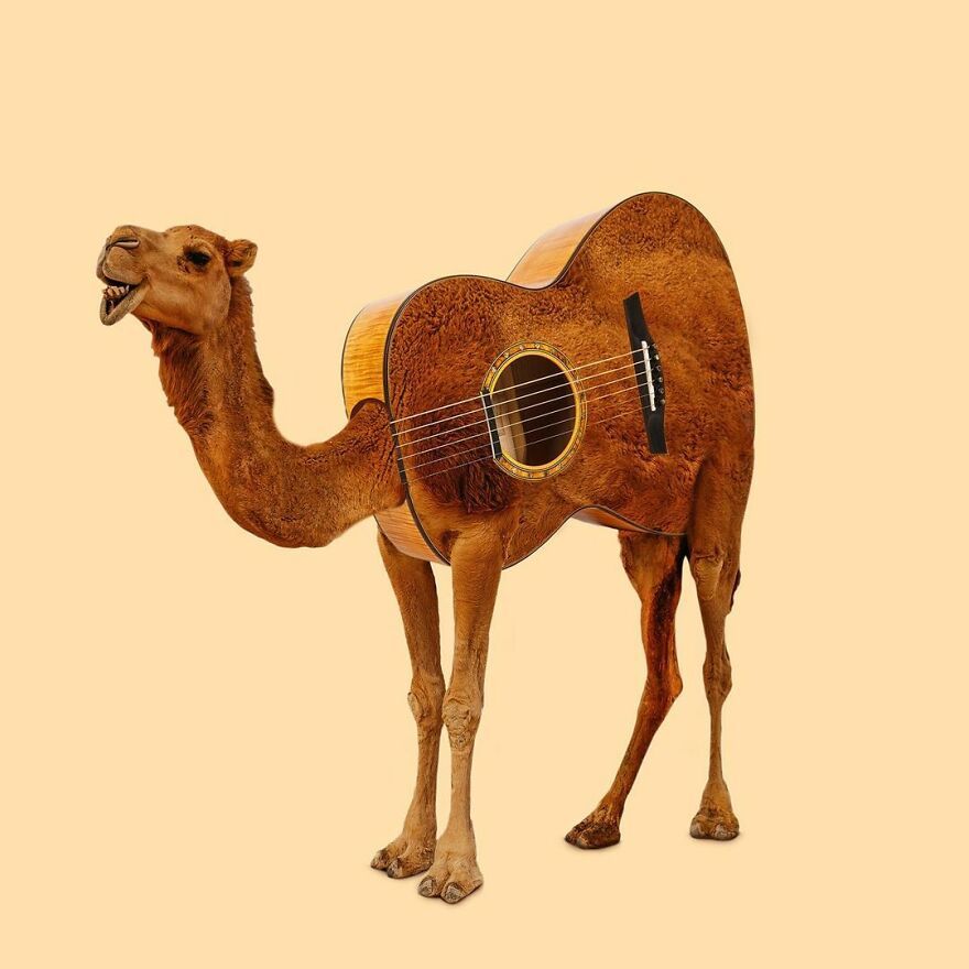 Surreal Camel Guitar Hybrid Art — Funny