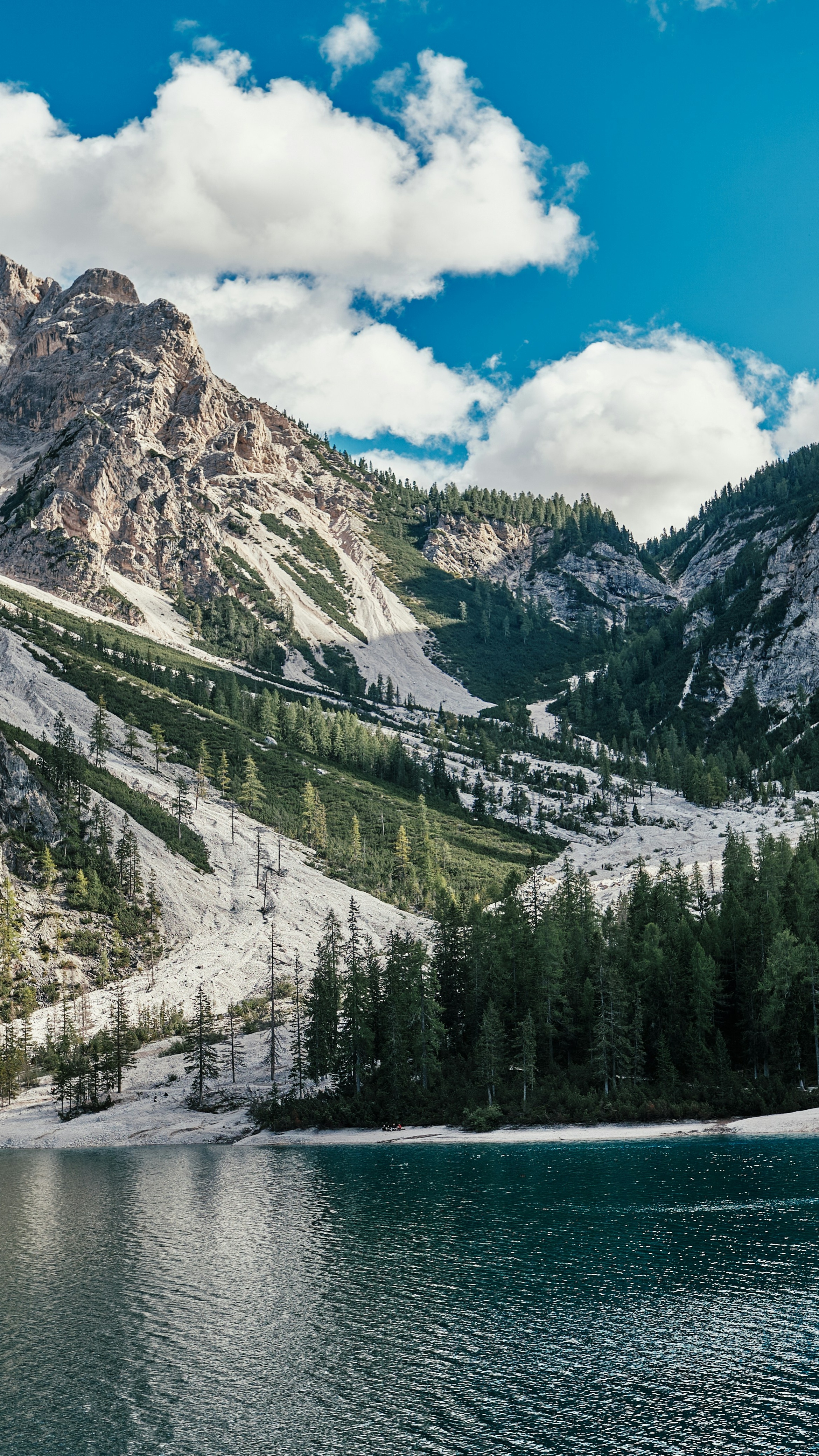 Wallpapers