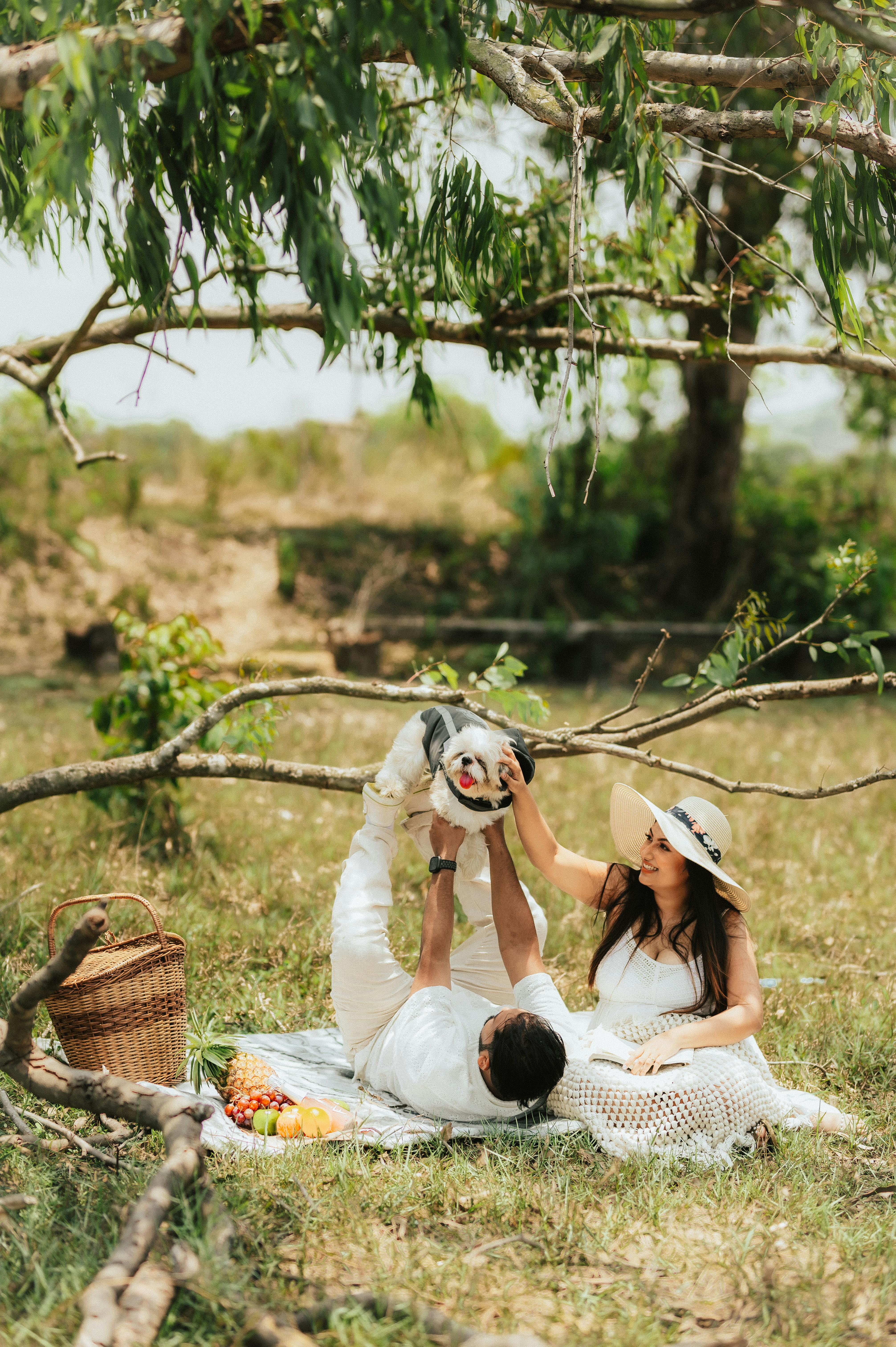 Couple Picnicking With Dog Outdoors
