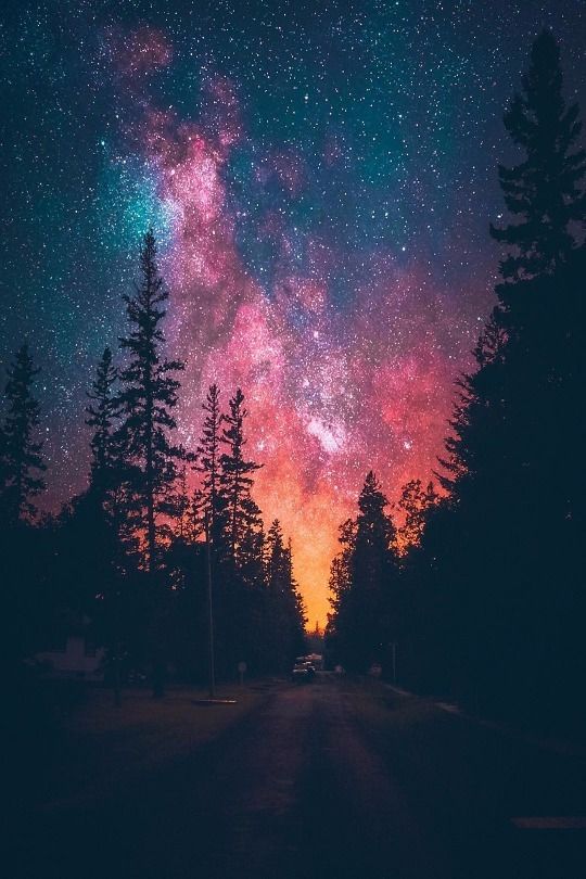 Image 17769 — 4K Wallpapers