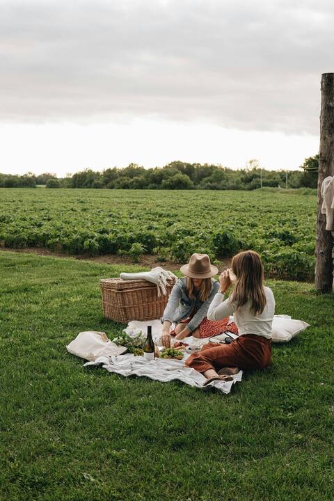 Image 1619362 — Images
