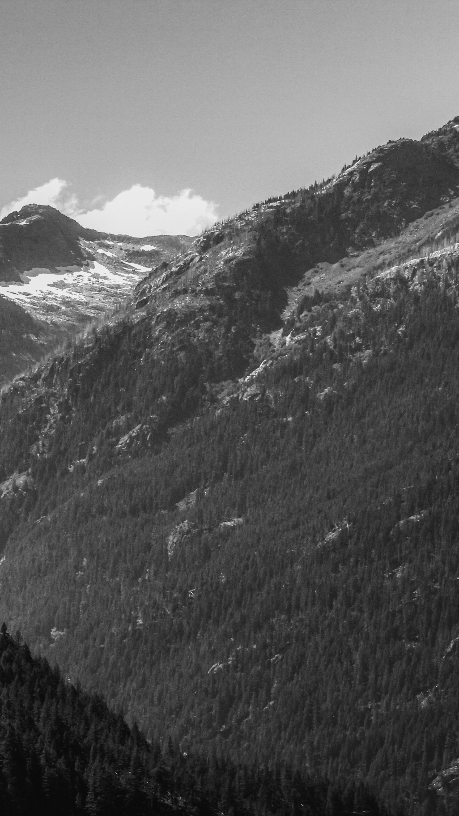 Black and White Forested Mountain Landscape