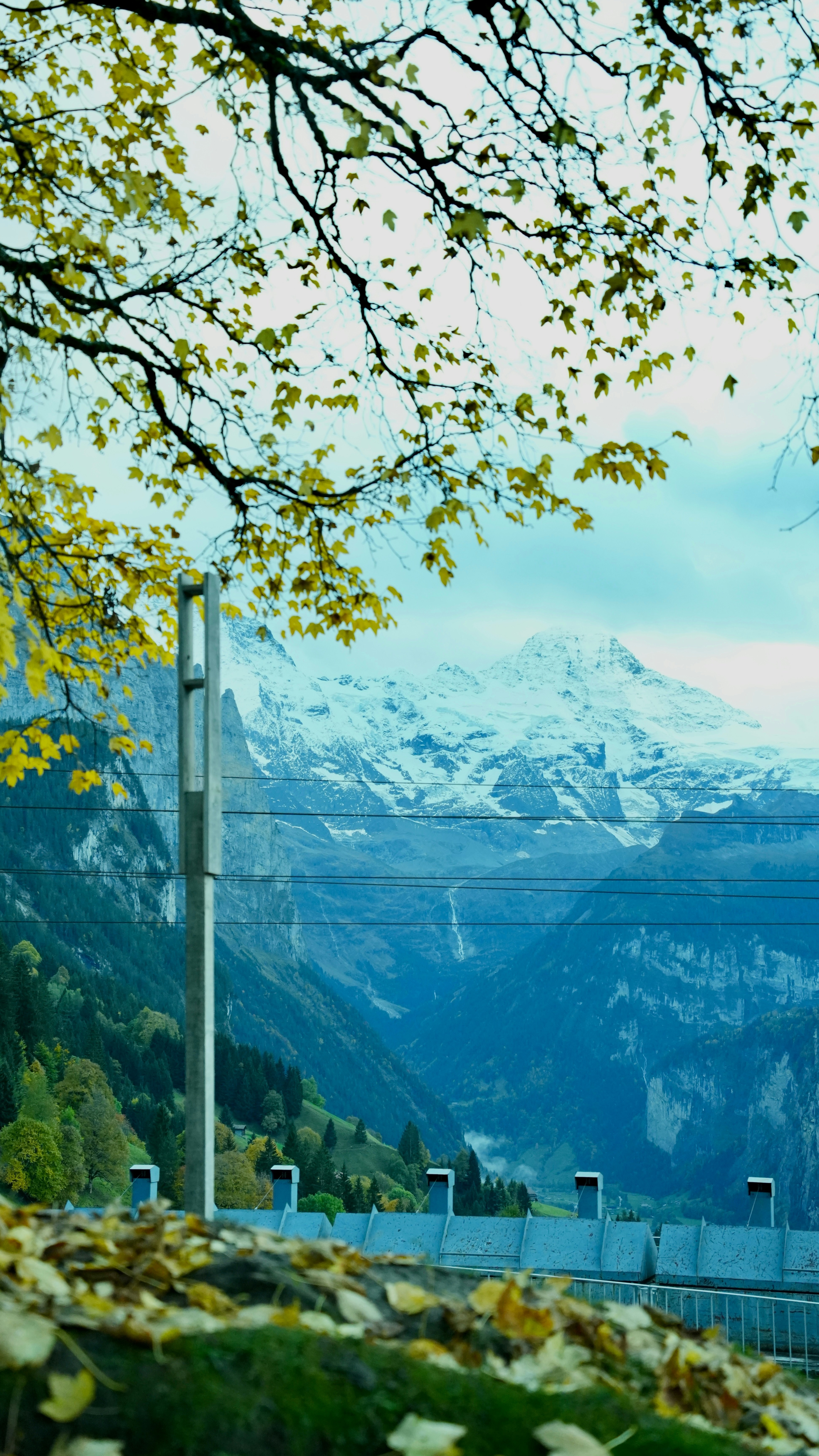 Landscapes