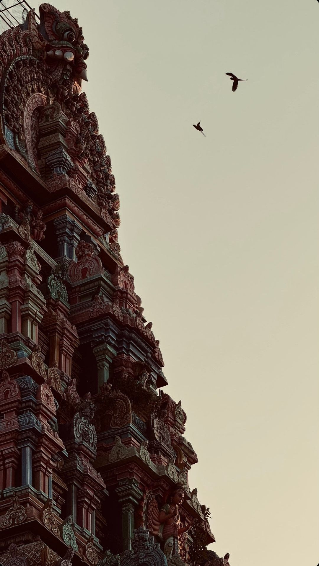 Wallpapers