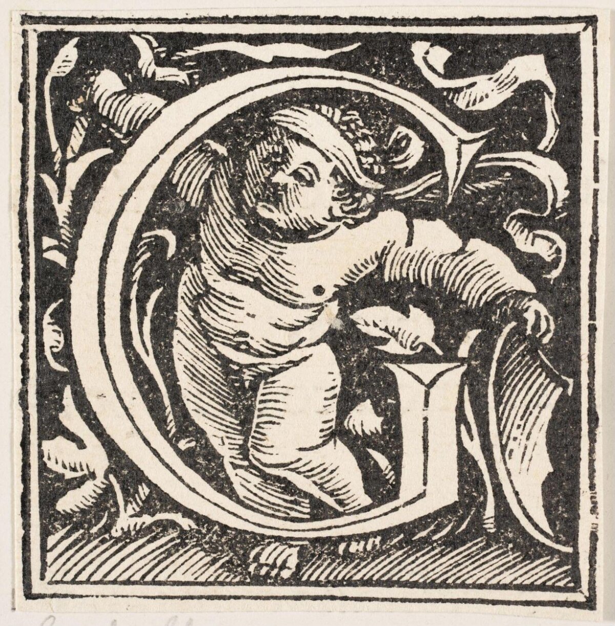 Woodcut Decorated Initial D