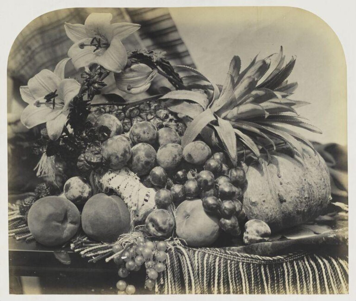Vintage Still Life of Fruit and Flowers