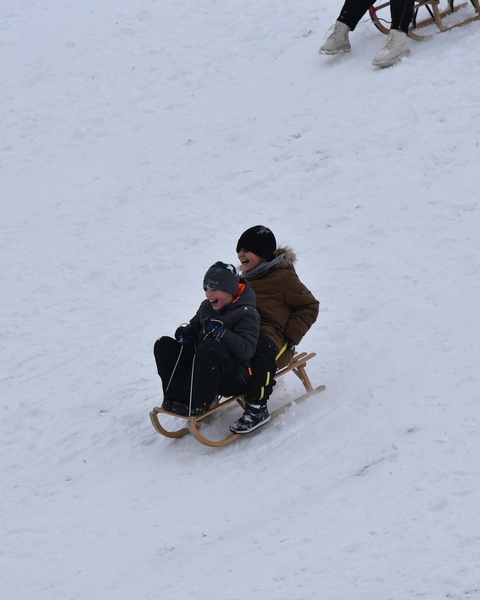 Two Boys Sledding Down Snowy Hill