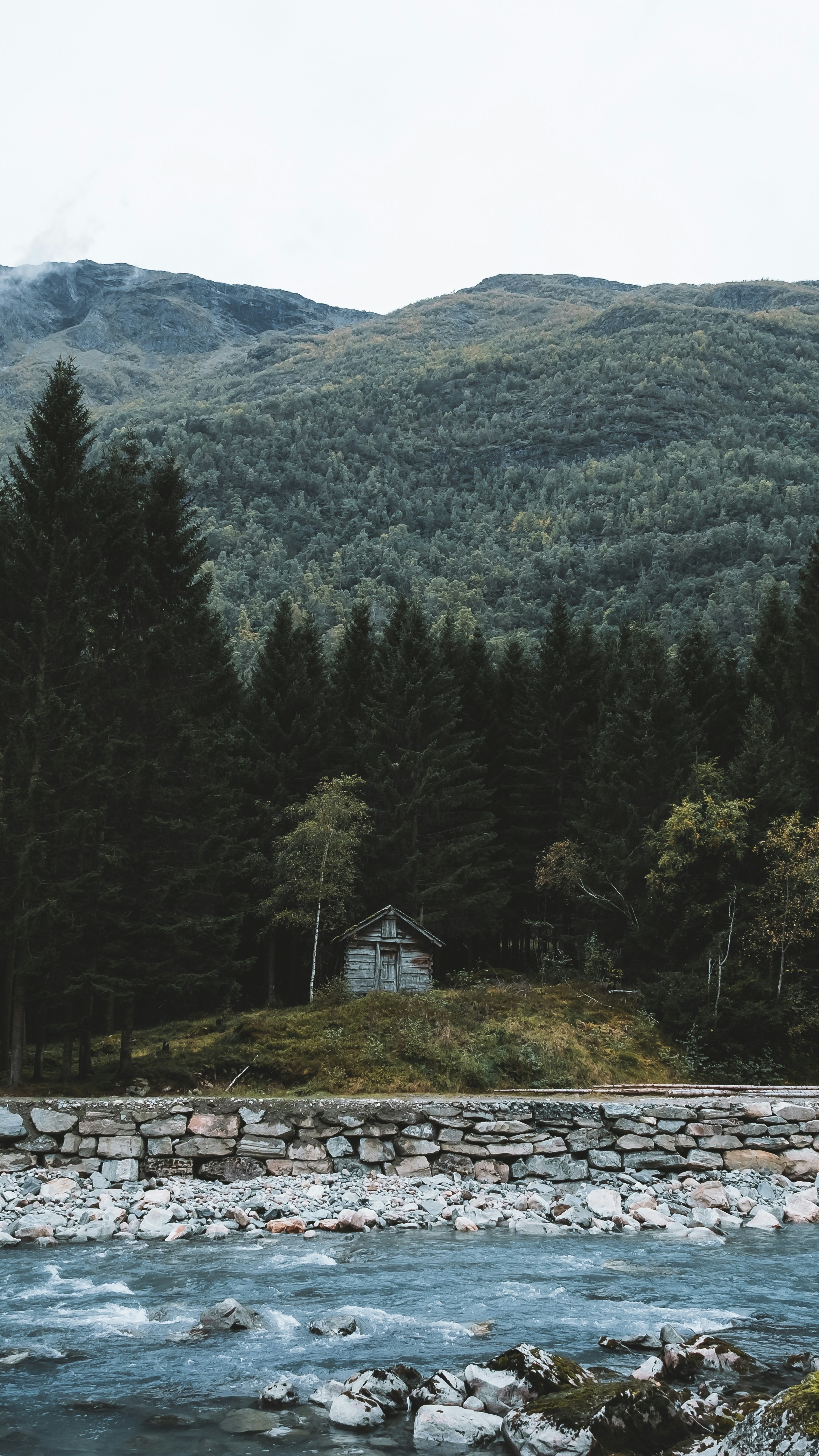 Wallpapers