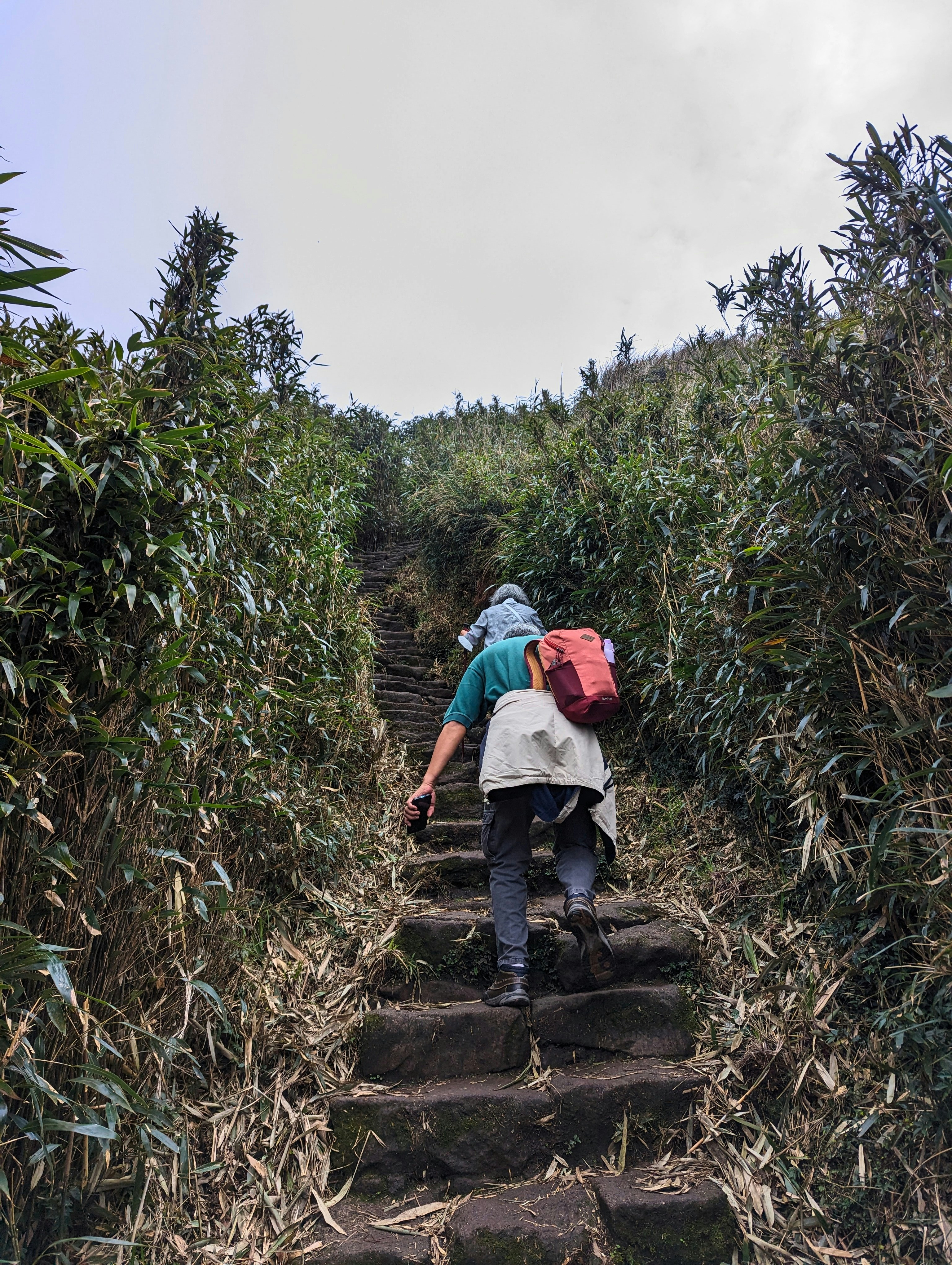 Two Hikers Climbing Steep Stone Steps