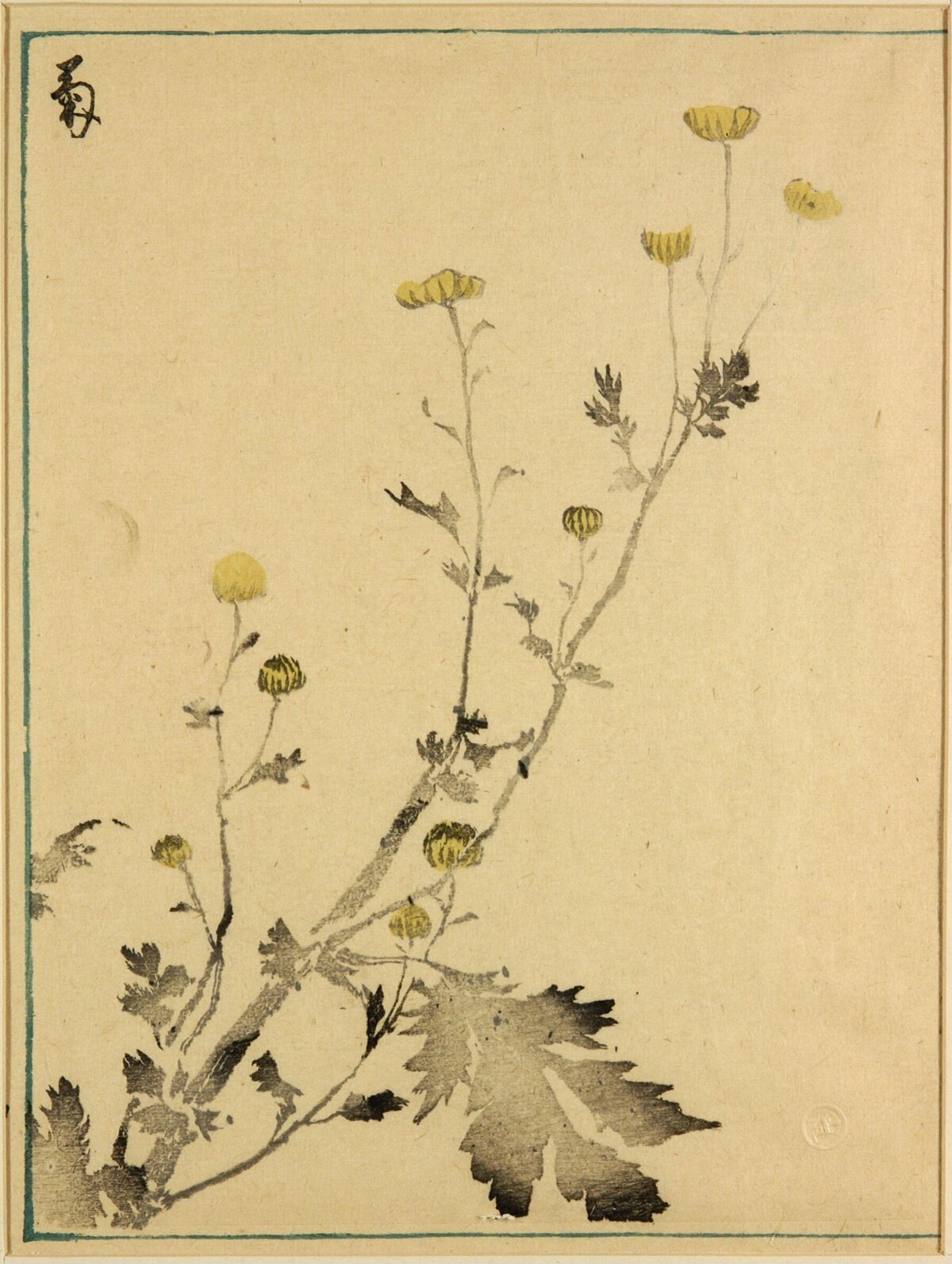 Chrysanthemum Japanese Woodblock Print
