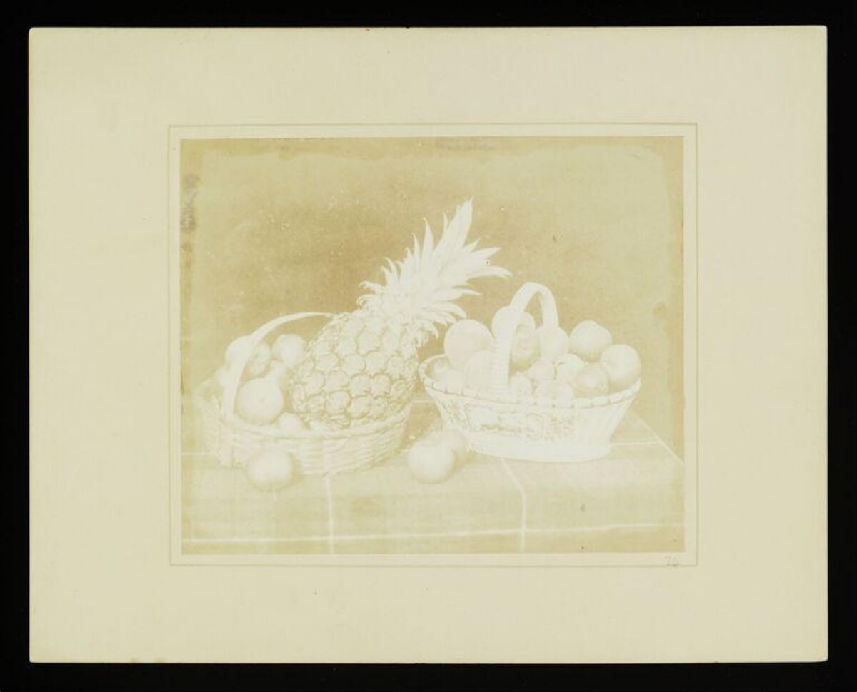 Vintage Still Life with Fruits