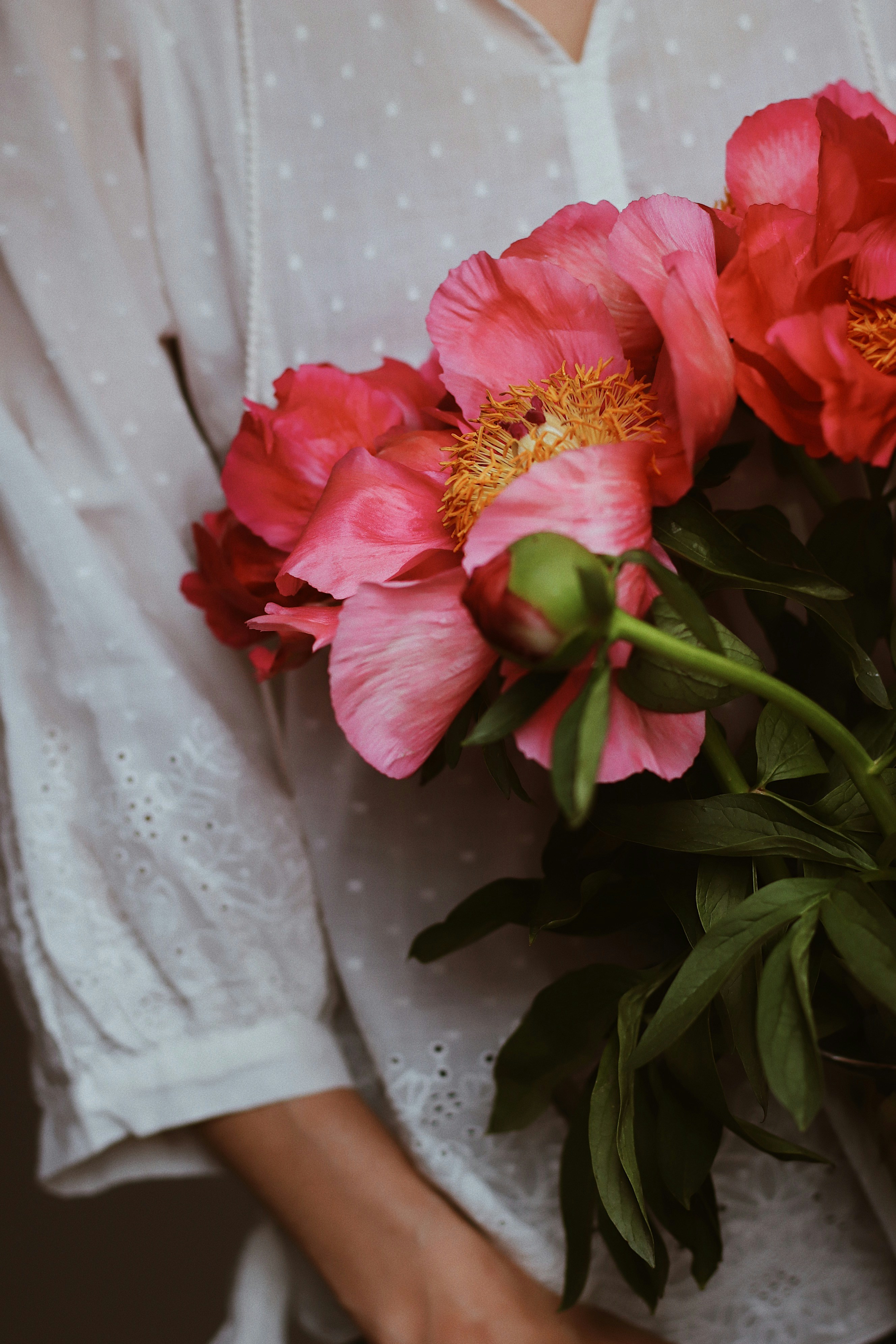 Pink Peony Bouquet Close-up