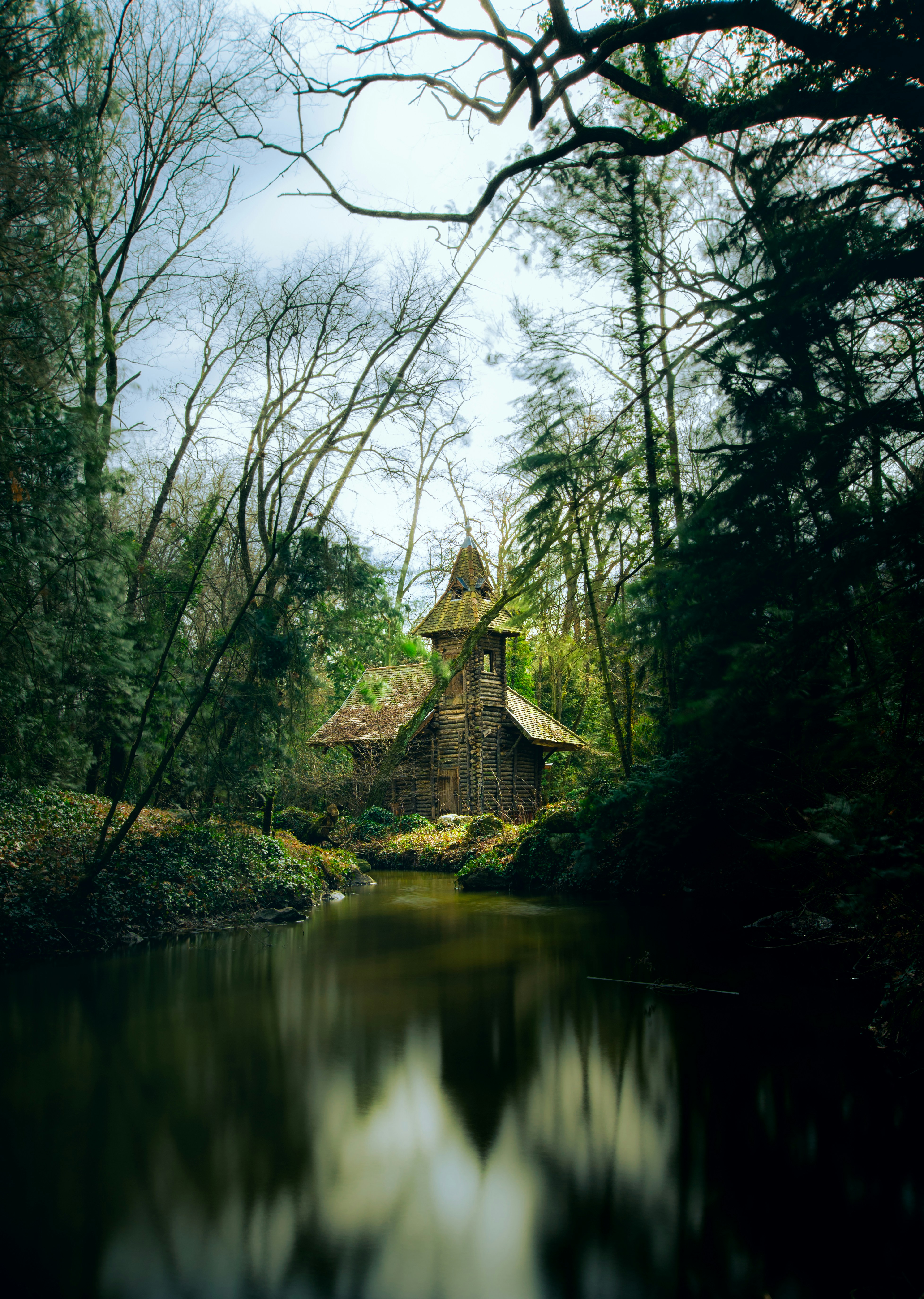 Wooden Cabin by Forest Pond