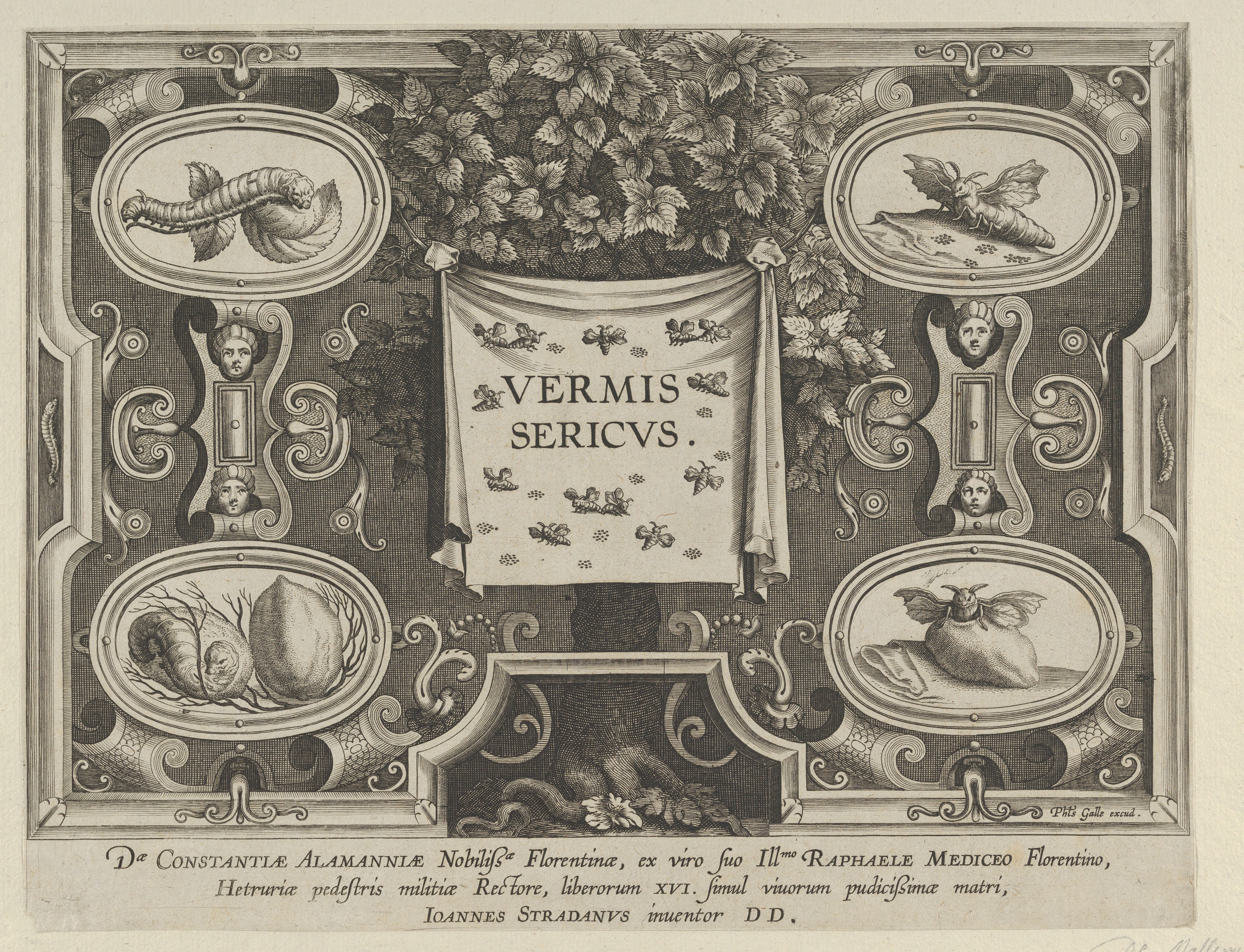 Antique Engraving of Silkworm Life Stages