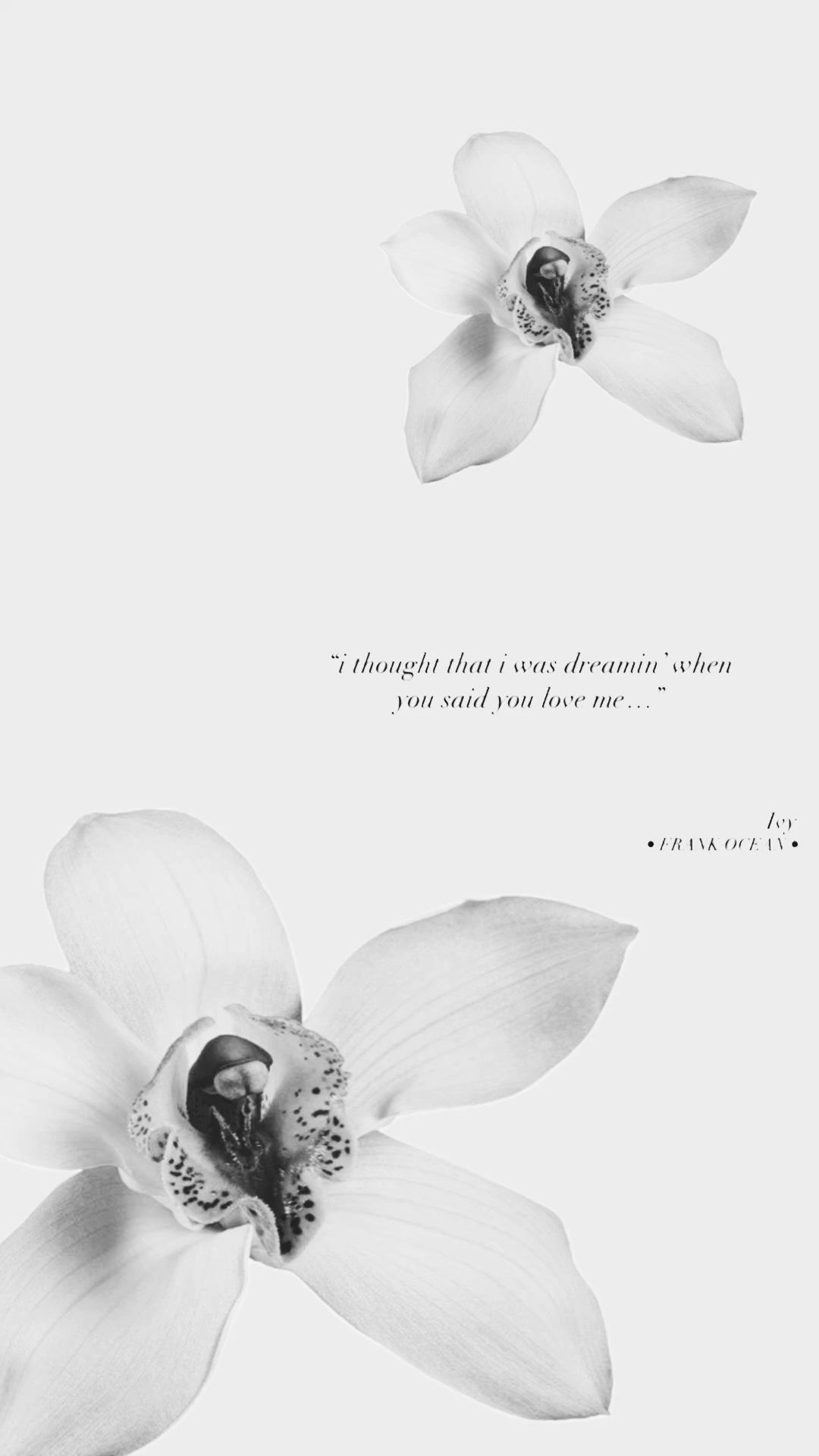 Wallpapers