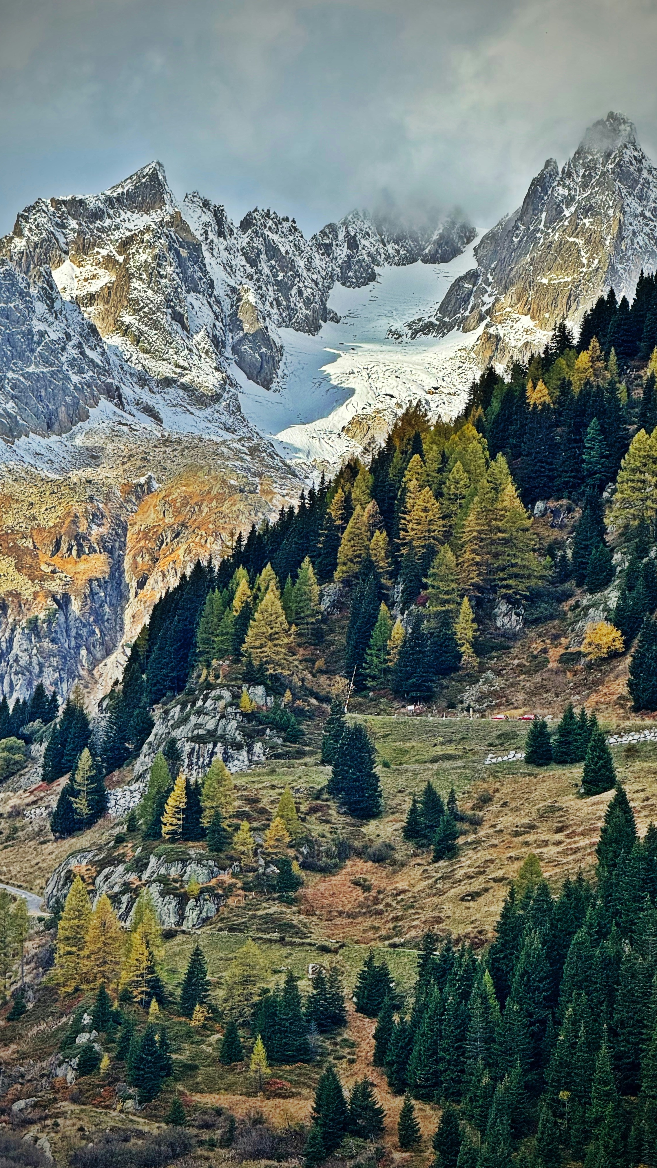 Wallpapers