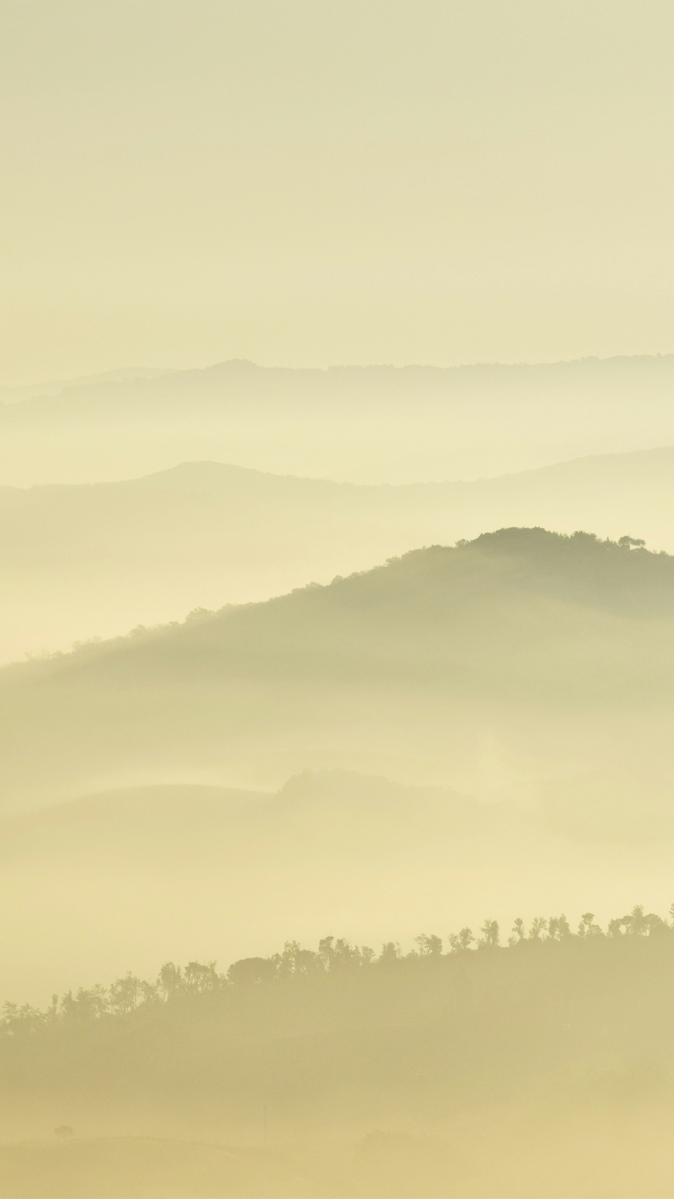 Landscapes