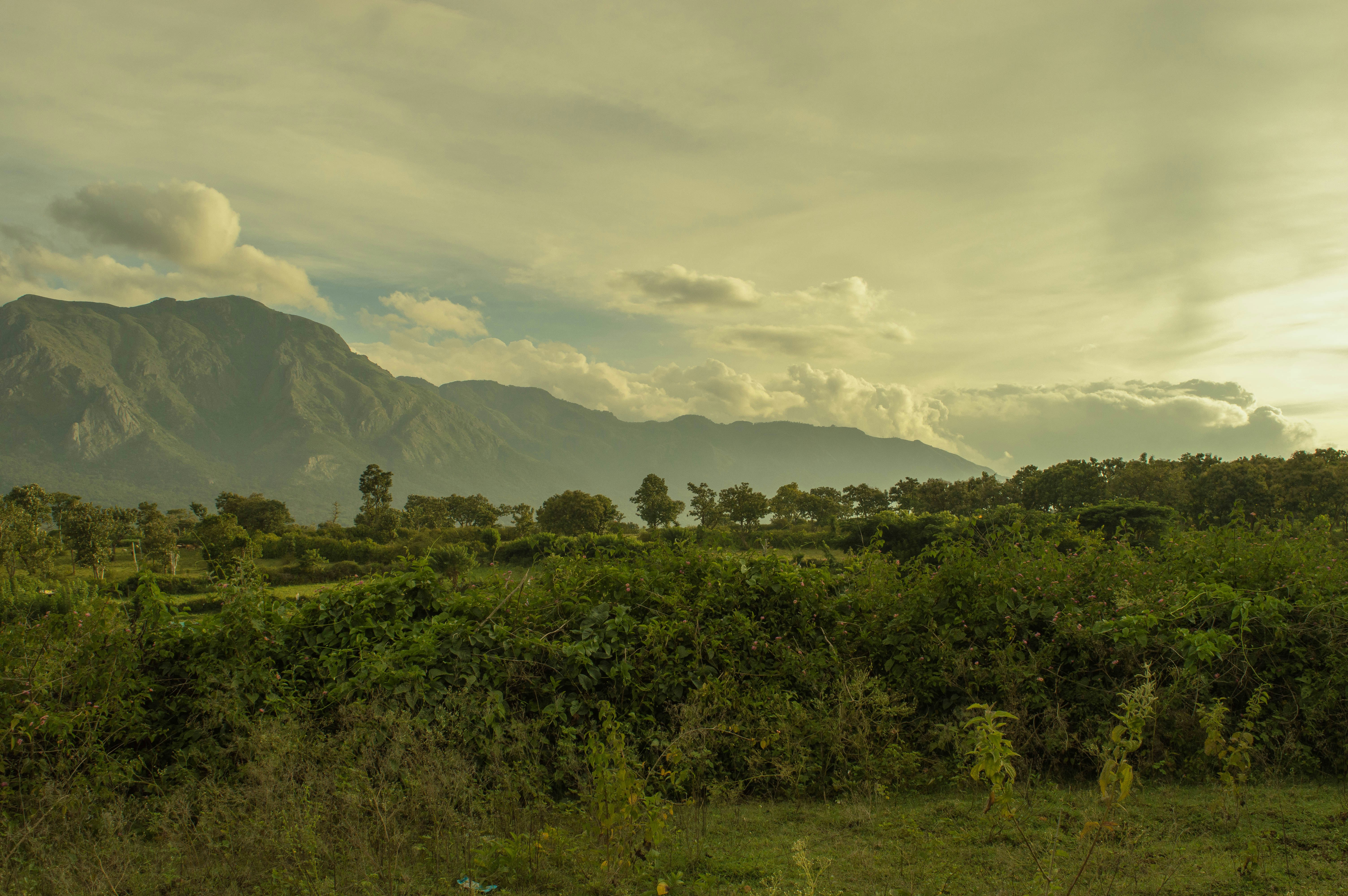 Mountain Foothill Countryside Landscape