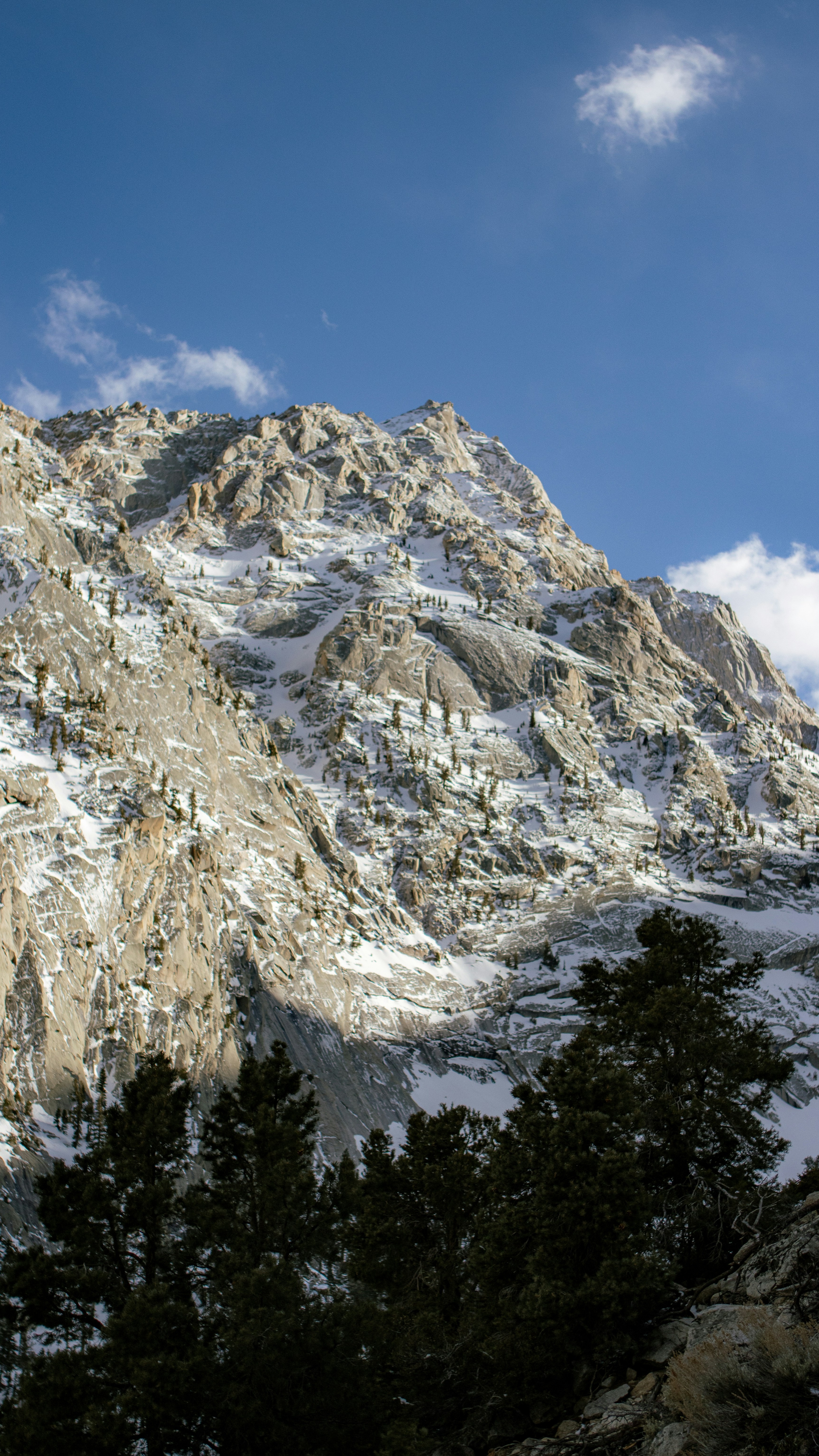 Snowy Rocky Mountain Peak