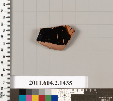 Ancient Pottery Fragment Artifact